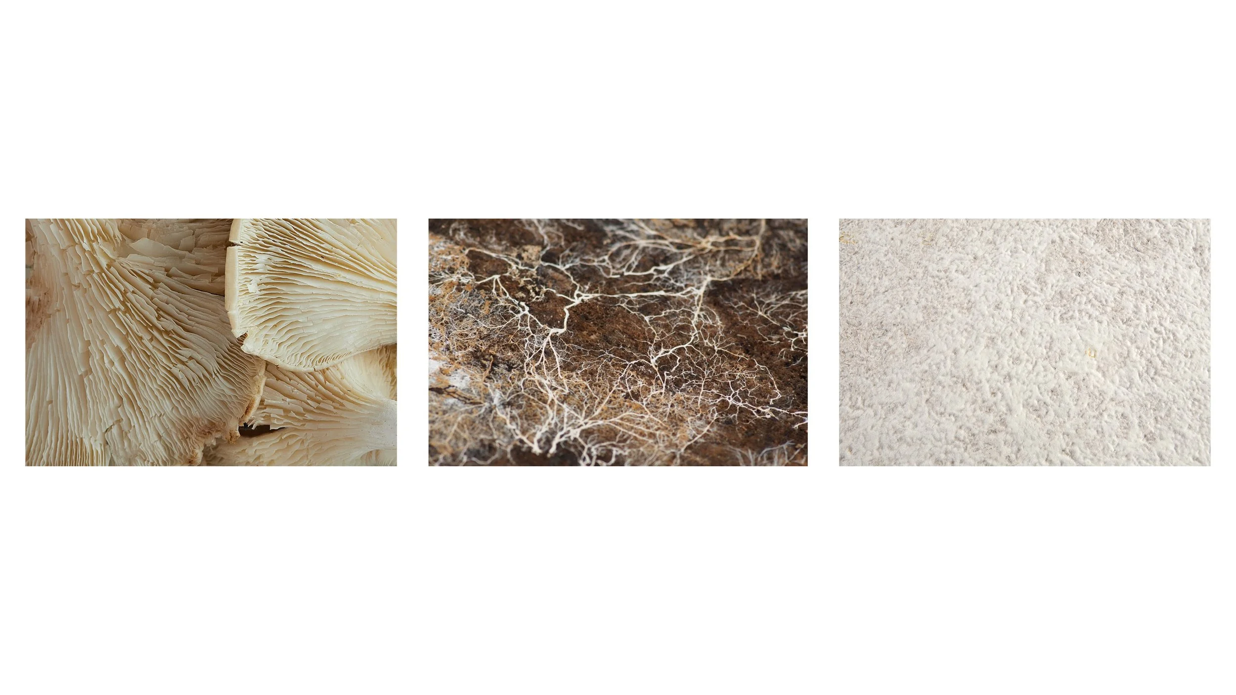 Nothing Website visuals_05.jpg