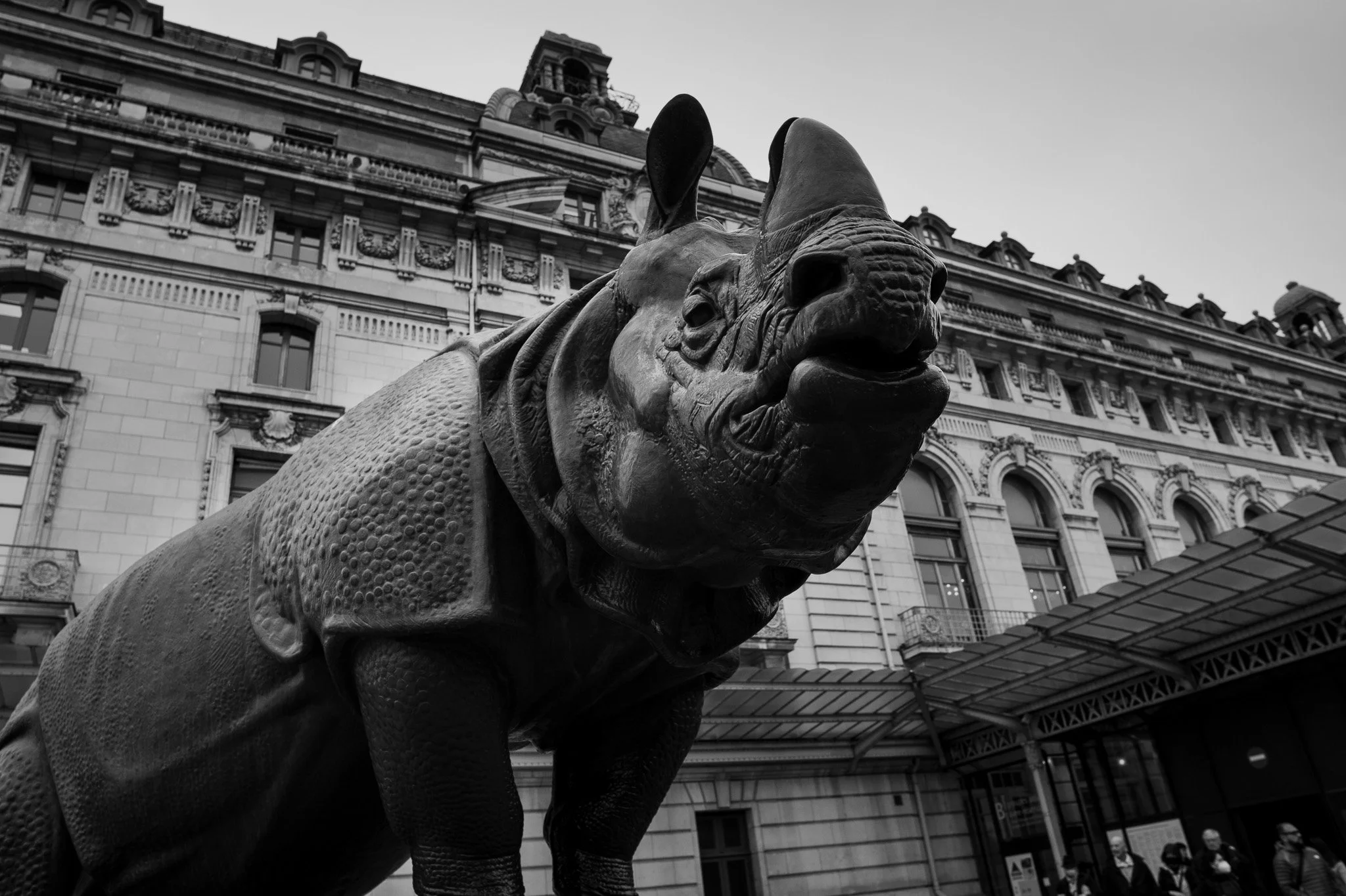 photography in Paris, France