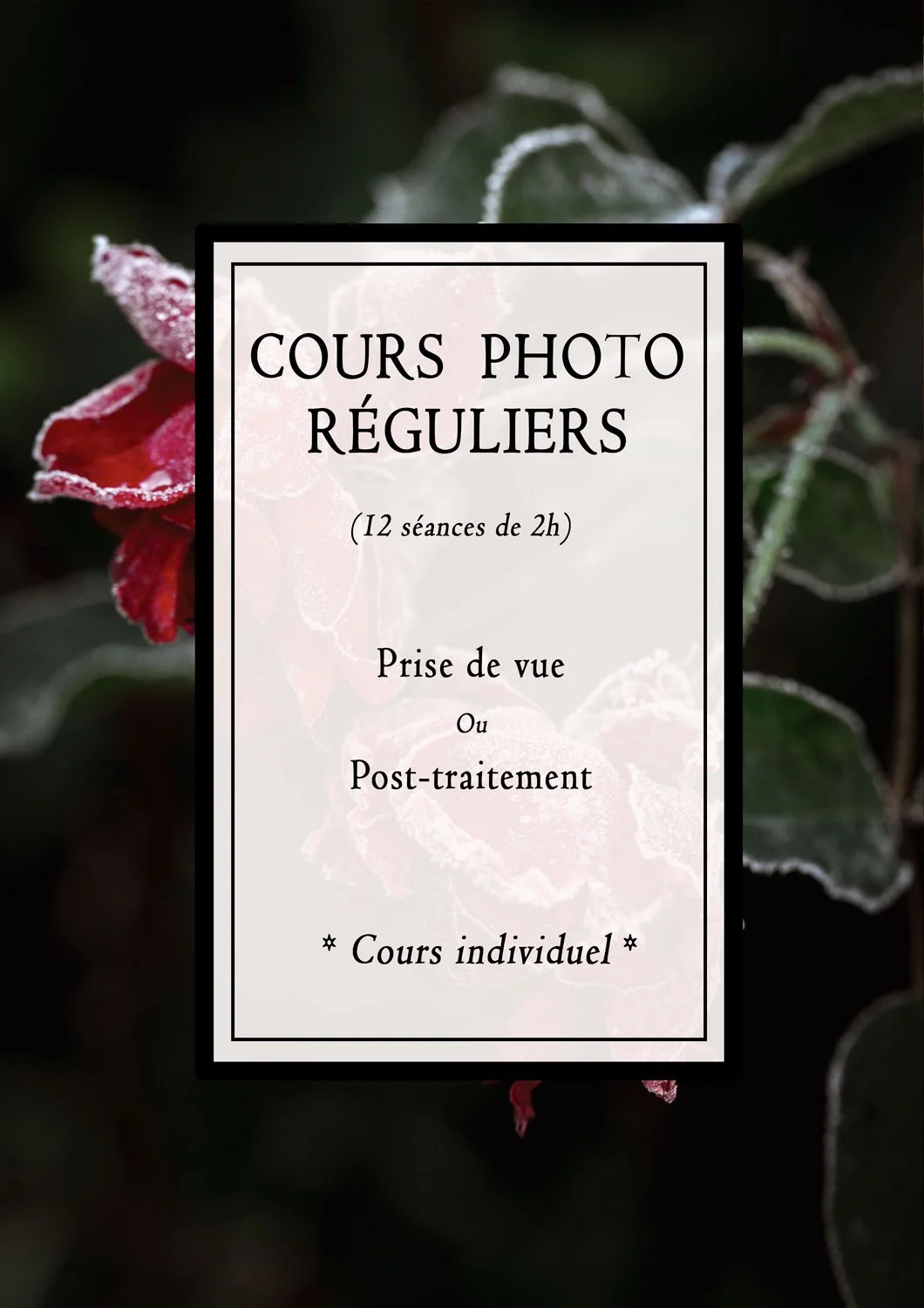 COURS PHOTO RÉGULIERS (cours individuel)