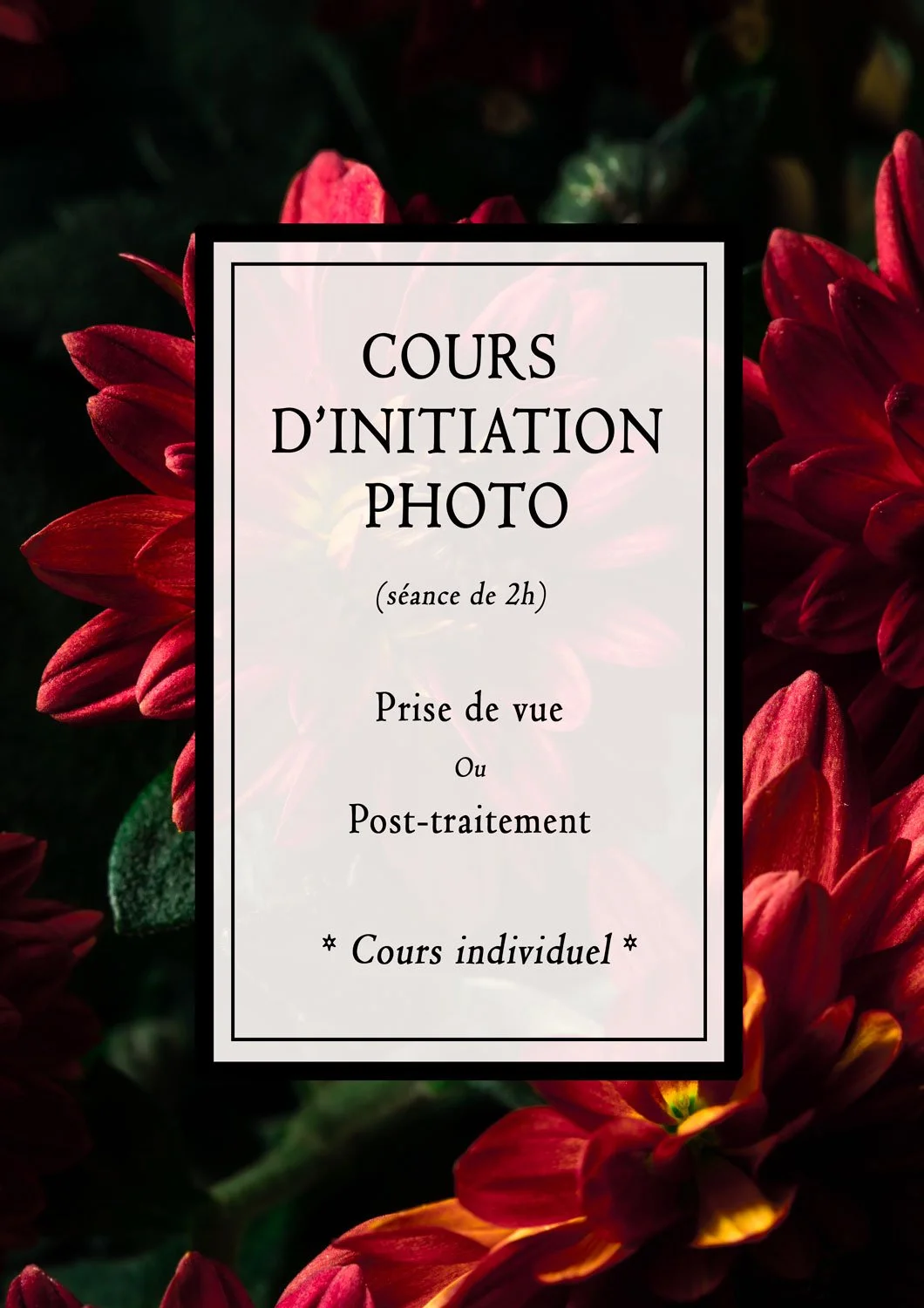 COURS PHOTO D'INITIATION (cours individuel)