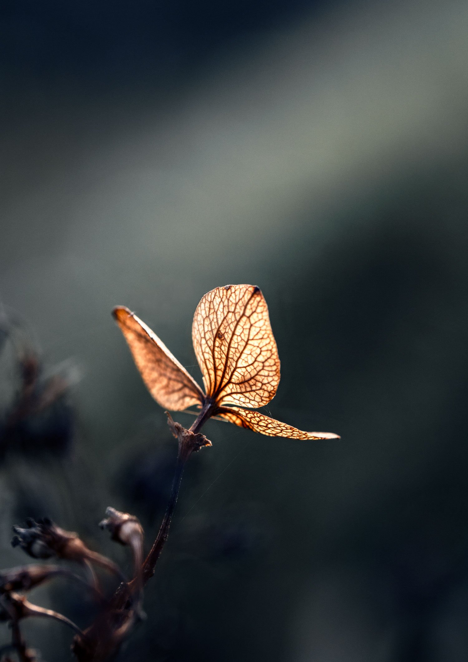 5B5A1046-1_IMPRESSION_A3web2bis.jpg