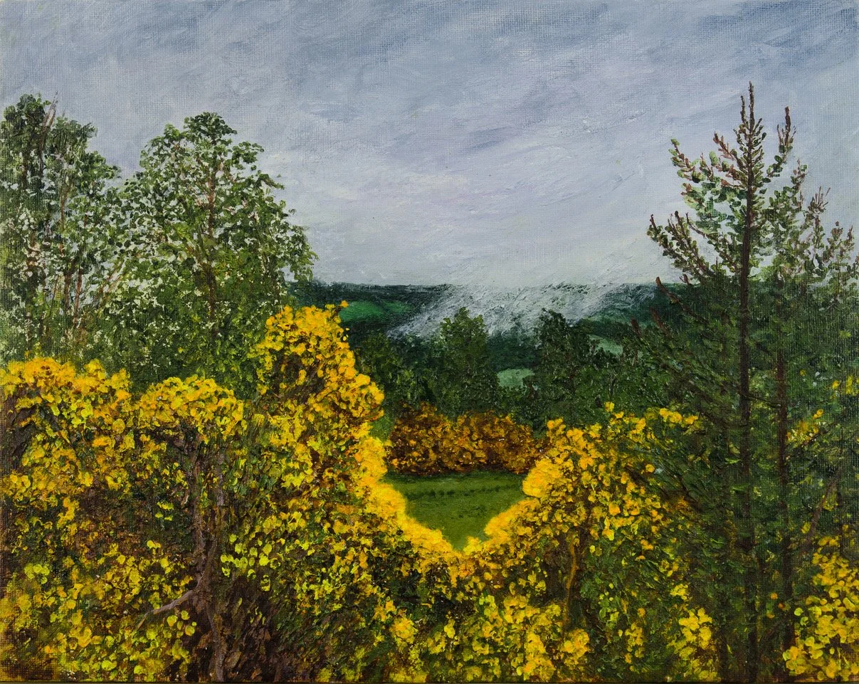 Magic of gorse Rob Roy Way .jpeg