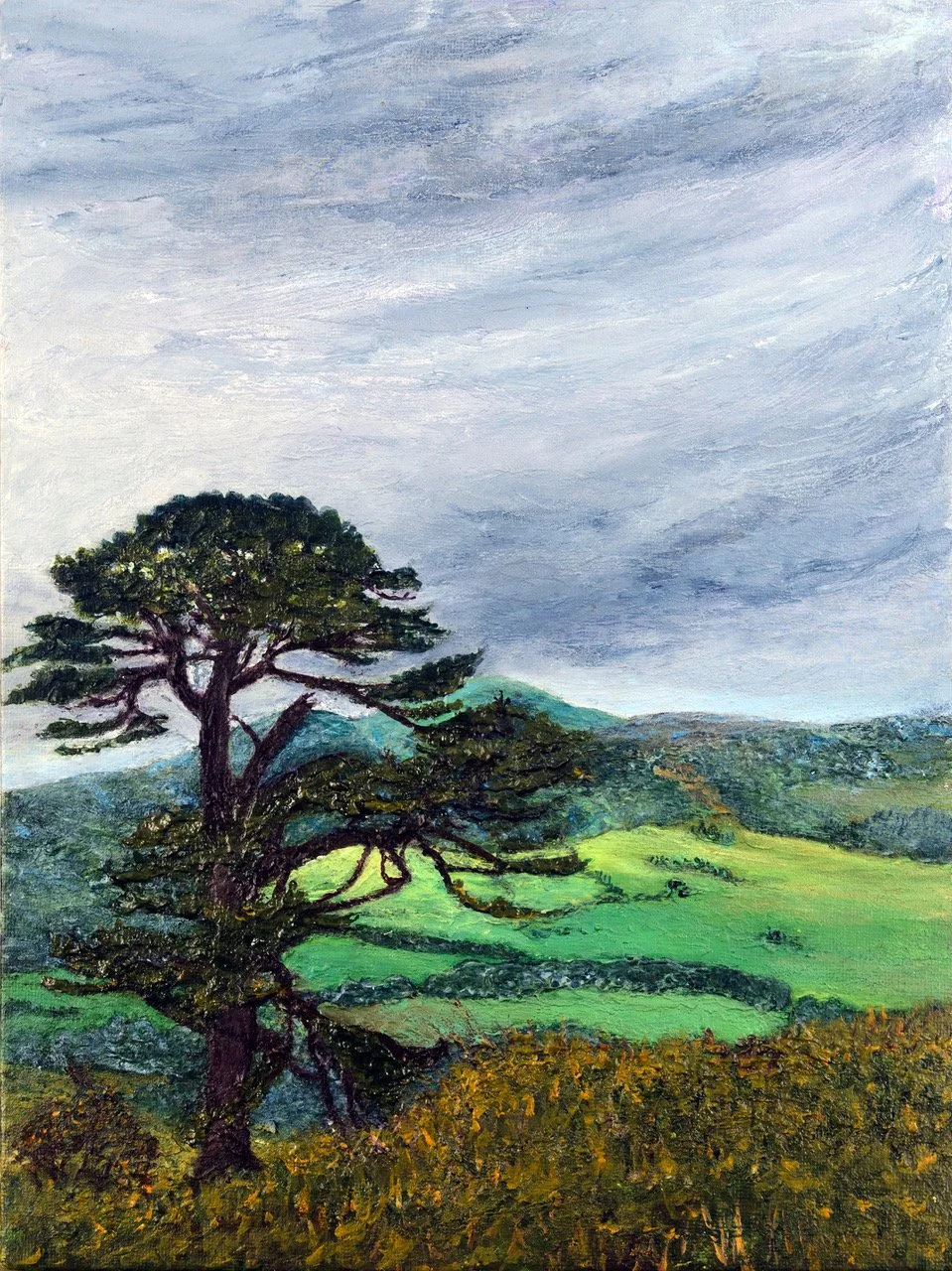 Light across the valley.jpeg