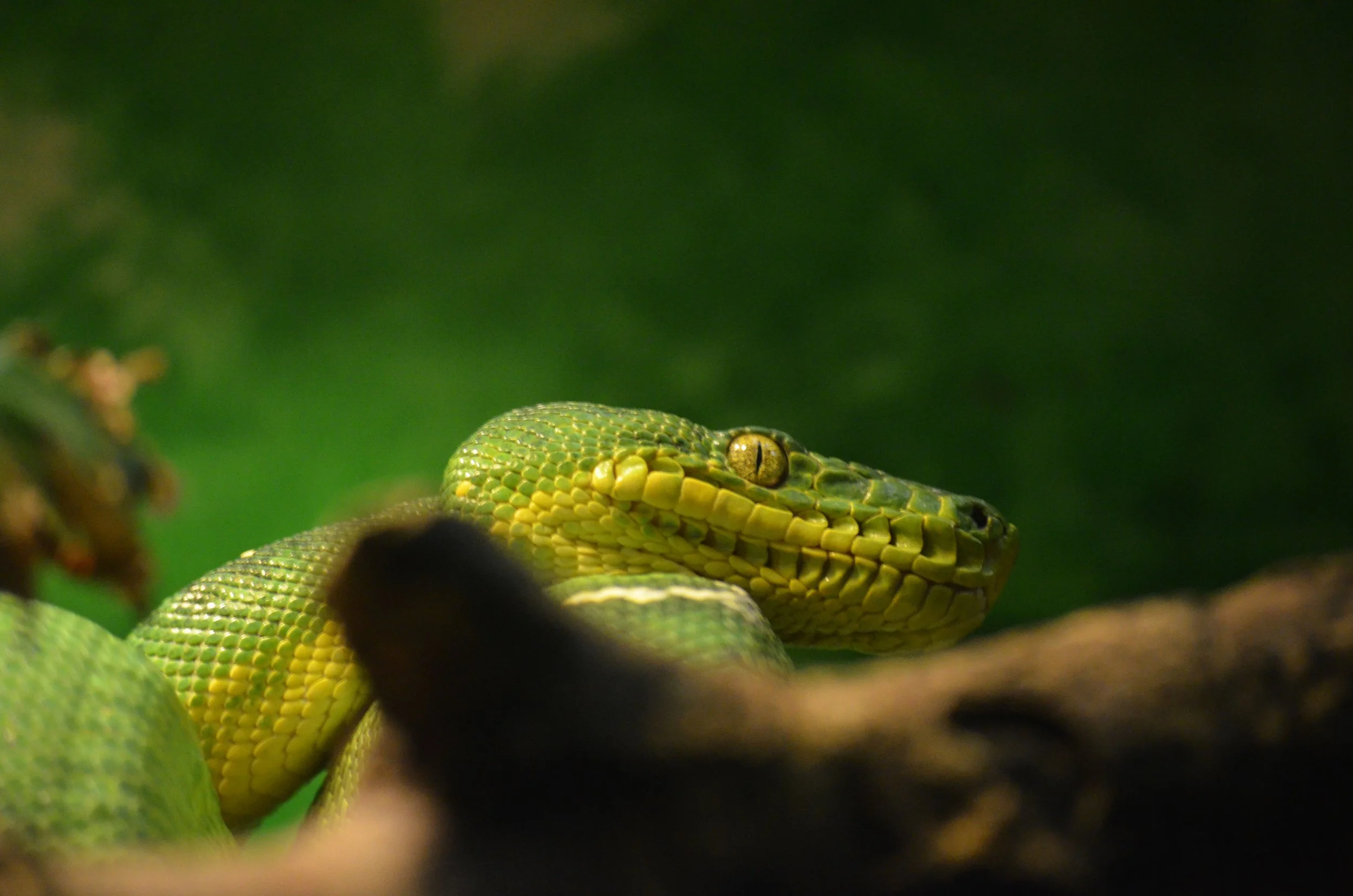 31163813037_7a23a245bb_o 2.JPG