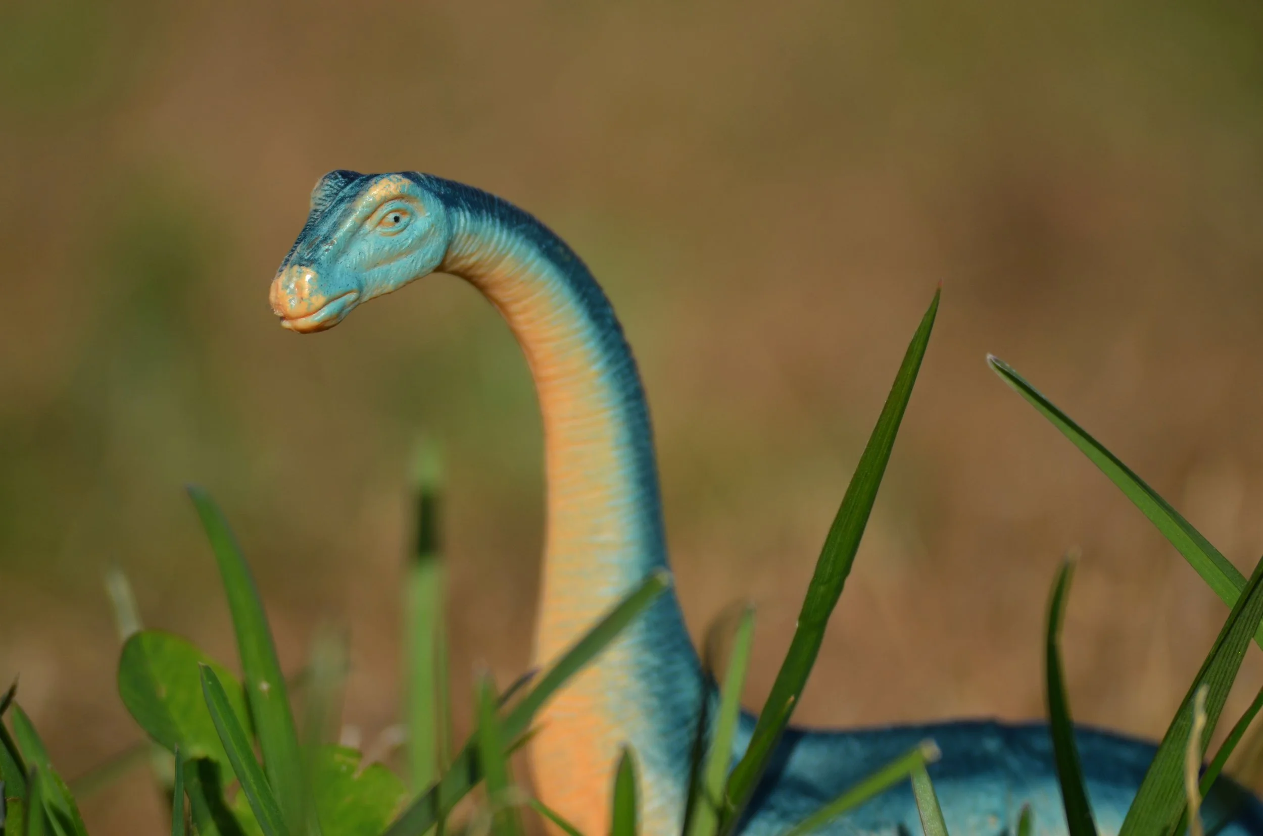 45147887635_d20fb3f649_o 2.JPG