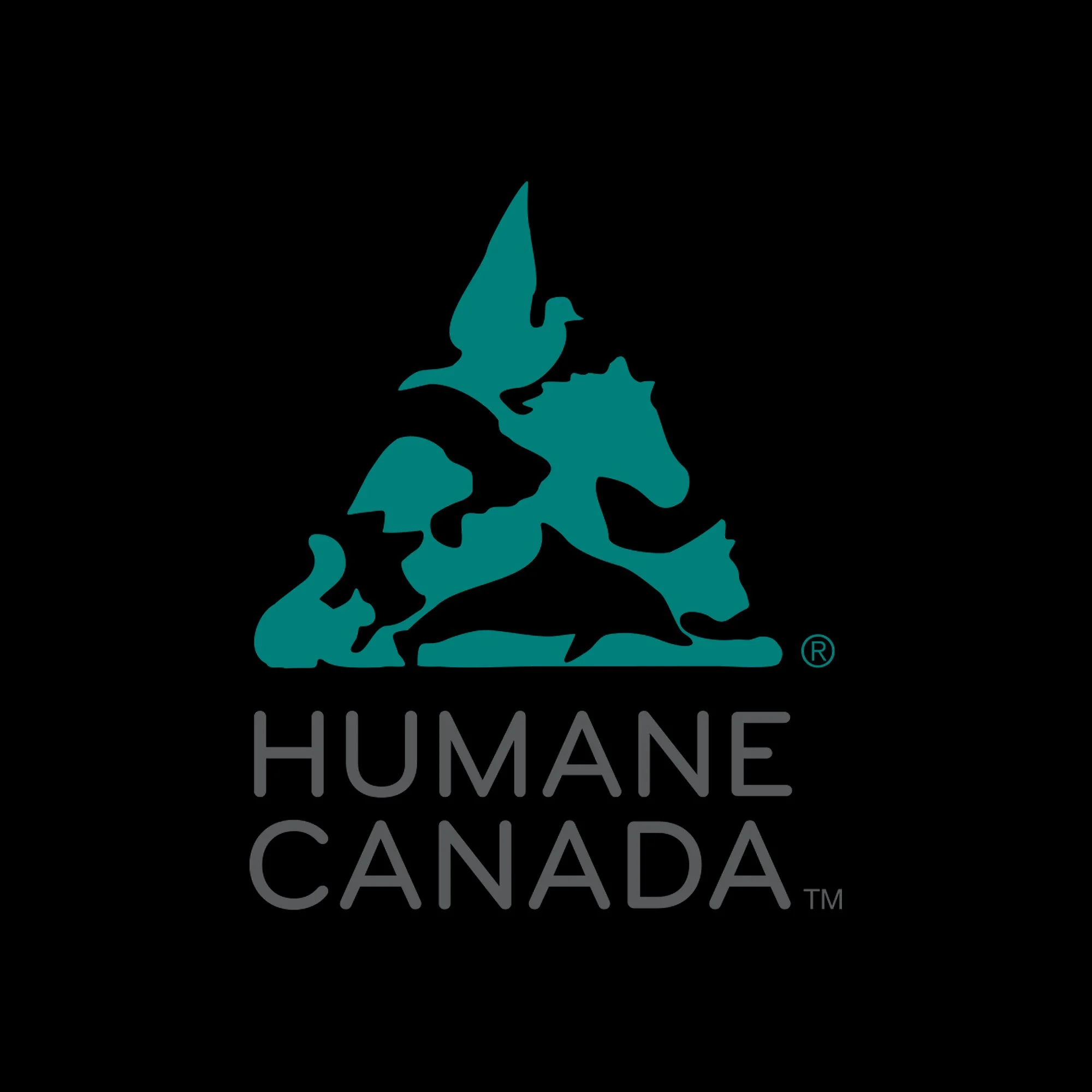 awfc_primary-dark 22.jpg