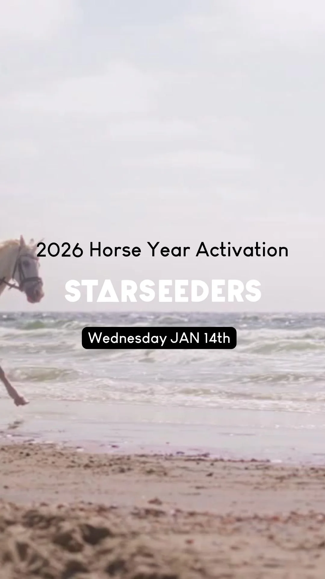 Starseeders 2026 Horse Year Activation