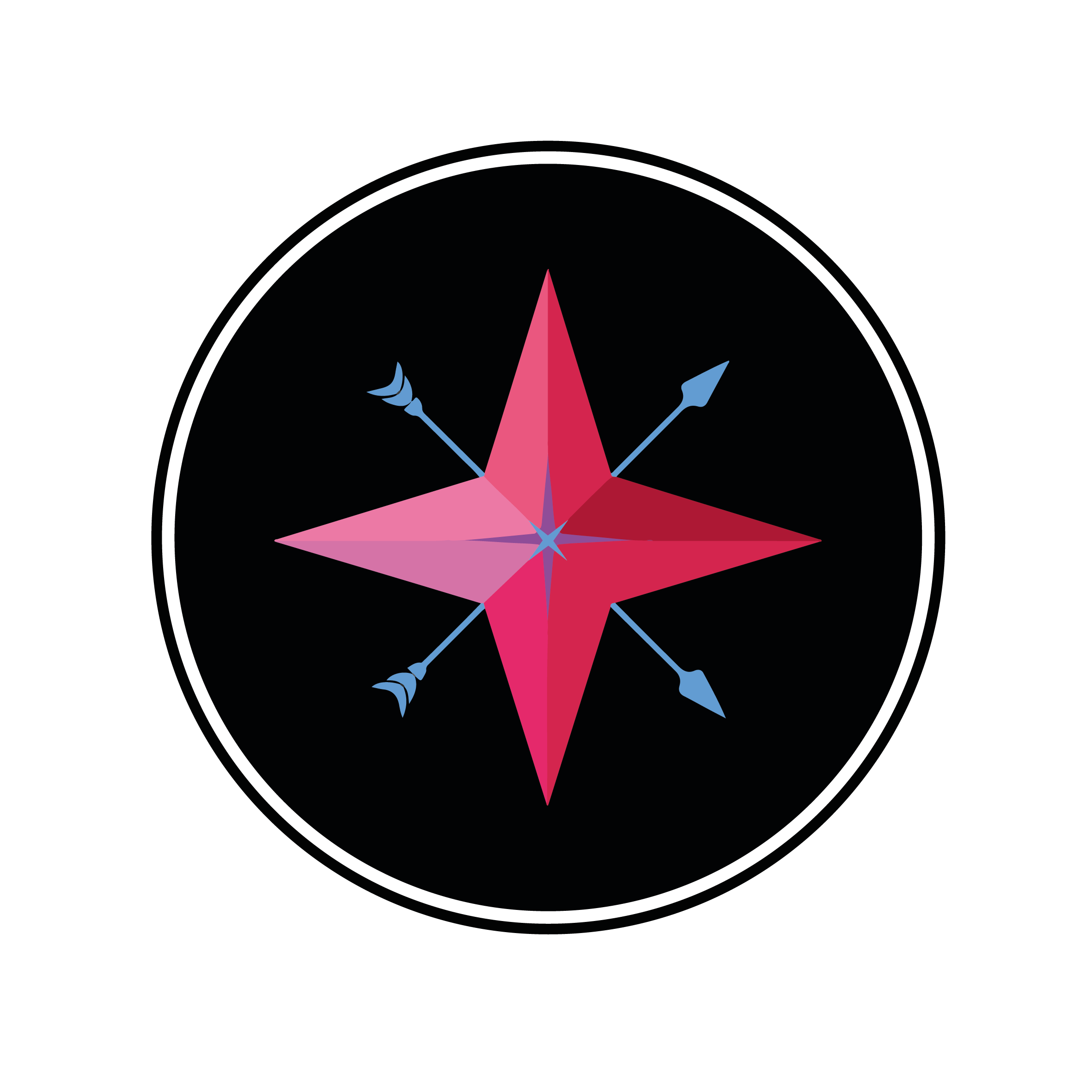 A digital illustration of a geometric star with four pink and red points, set against a black background. Blue arrows extend from the center of the star in four directions.