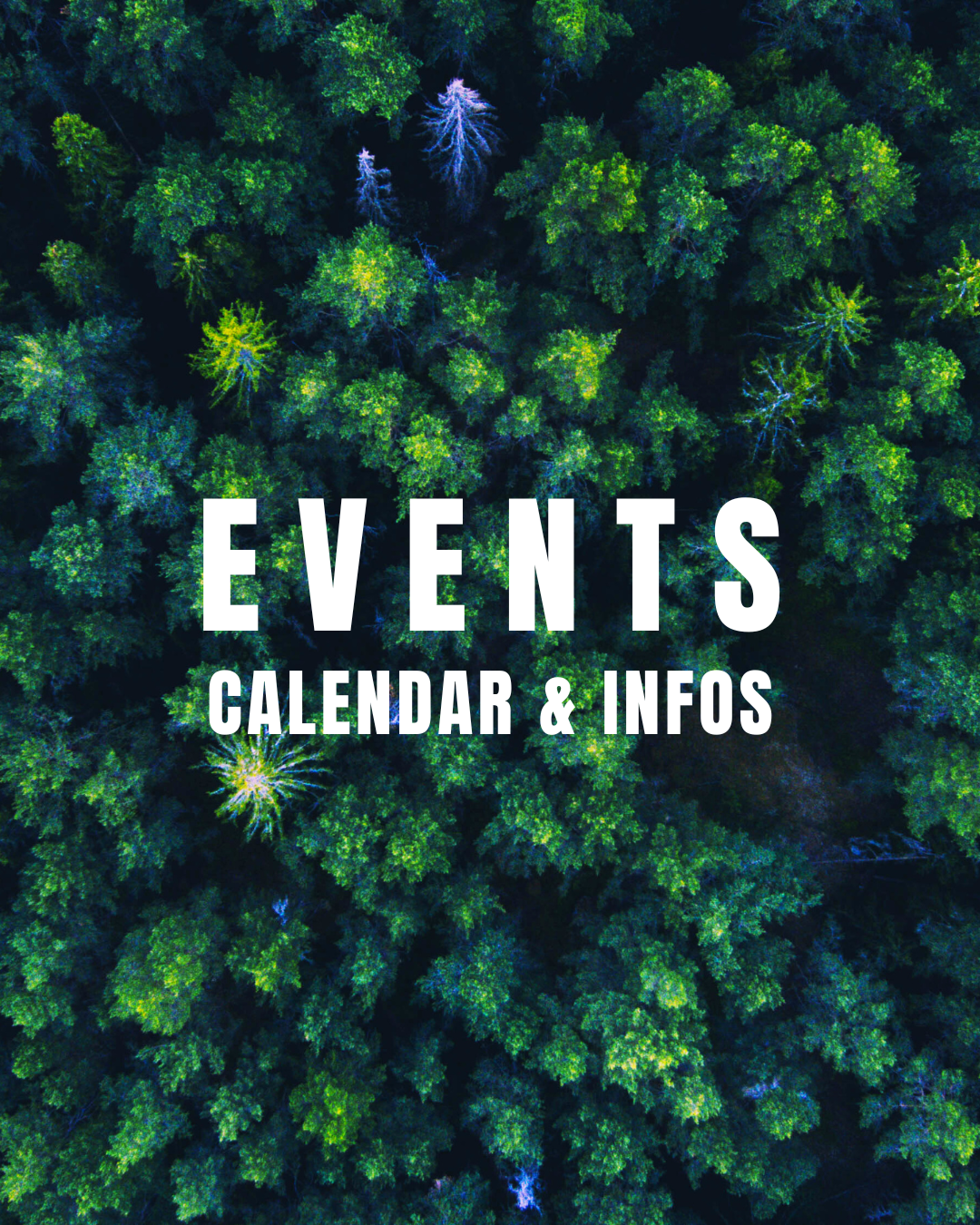 A flyer featuring a campfire in front of a tent with trees in the background, promoting a Temazcal Sweat Lodge event on December 13th, 2025, 40 minutes from Berlin, with a prayer for continuity WaterPourer Lucy, and a logo of Hernando Sagrado de Itzazogue Alliance.