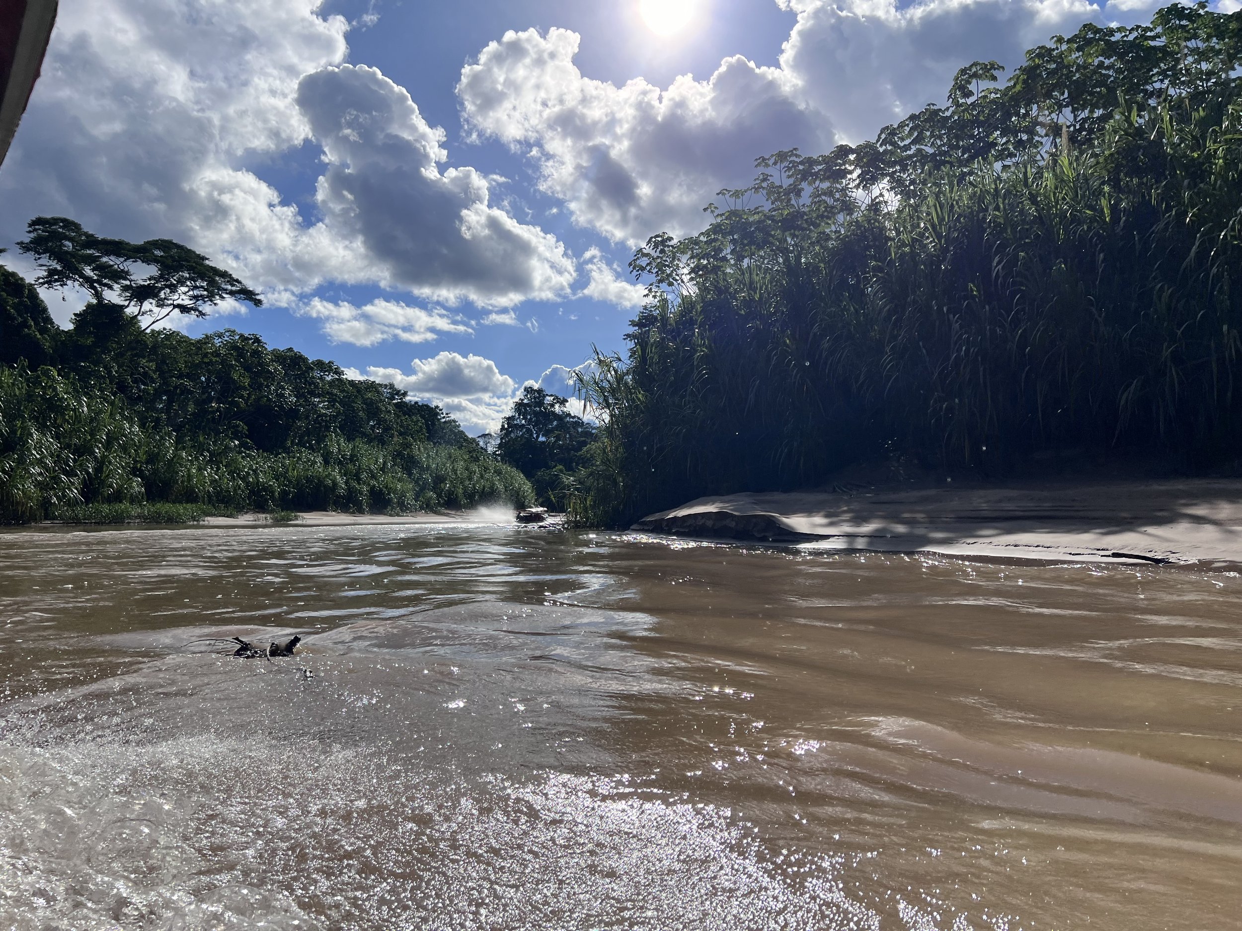 A river flowing through a lush green jungle under a partly cloudy sky.