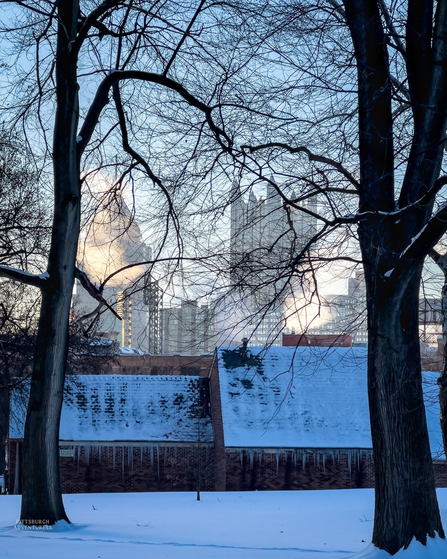 Cold enough to see the city breathe. 

.

.

.

#pittsburghphotographer #pittsburghpa #wintermood #citysilence #moodygrams