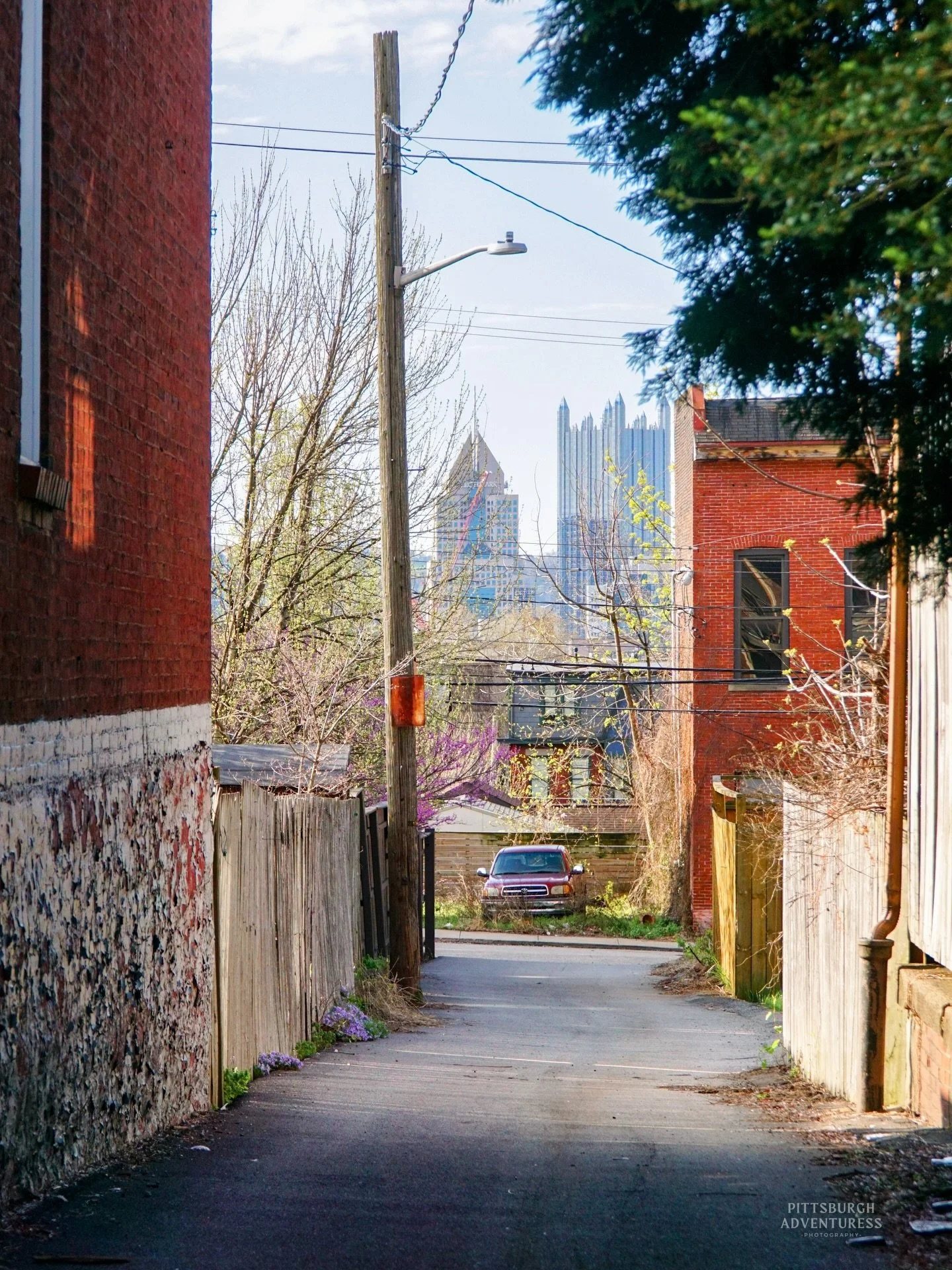 No matter where you are in Pittsburgh, the skyline always finds a way to peek through.
Even better when it comes with a little hint of spring 🌸

.

.

. #pittsburgh #pittsburghphotographer #pghviews #pittsburghpa #discoverpittsburgh