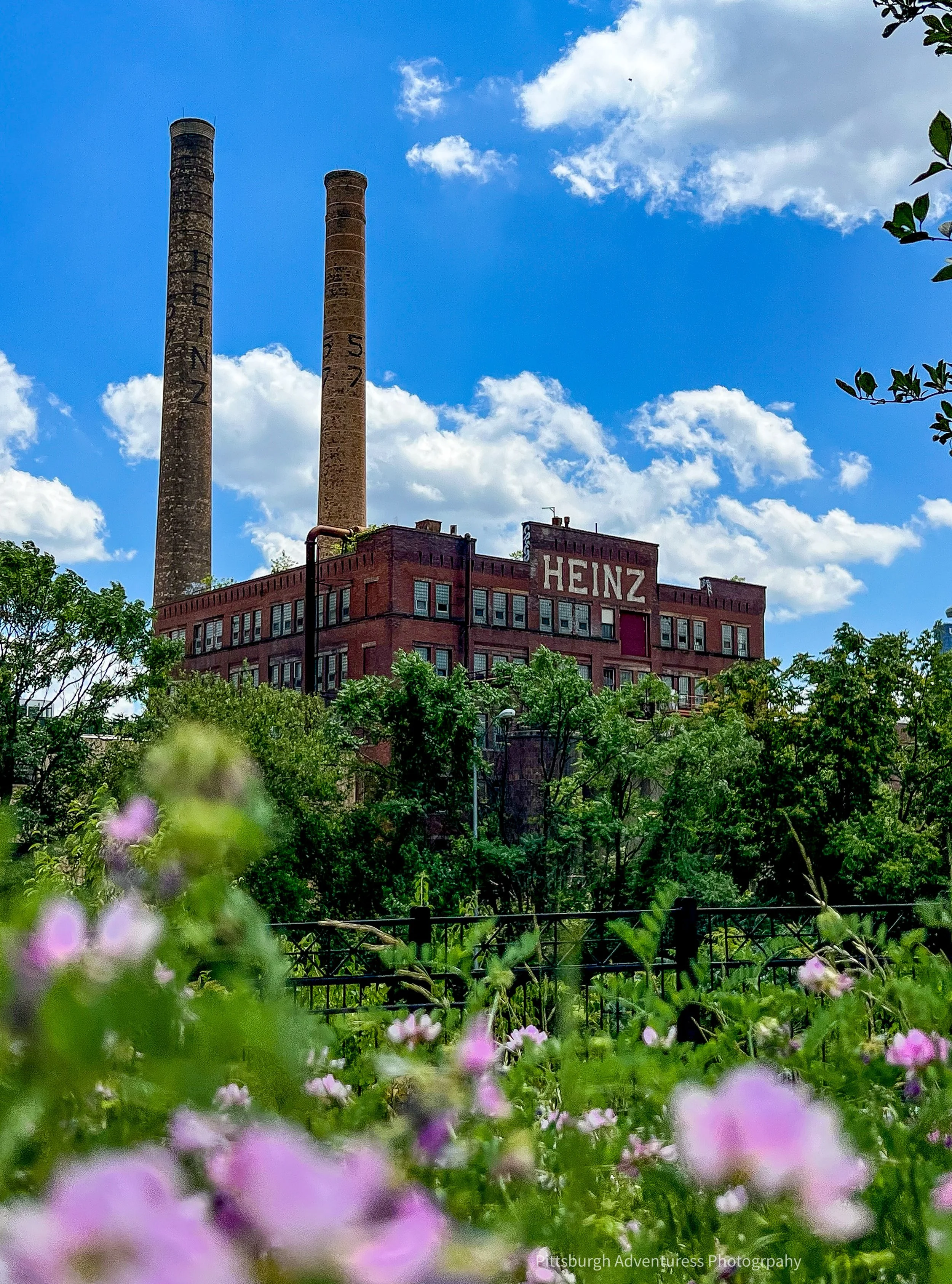 Heinz Factory Spring Pittsburgh 