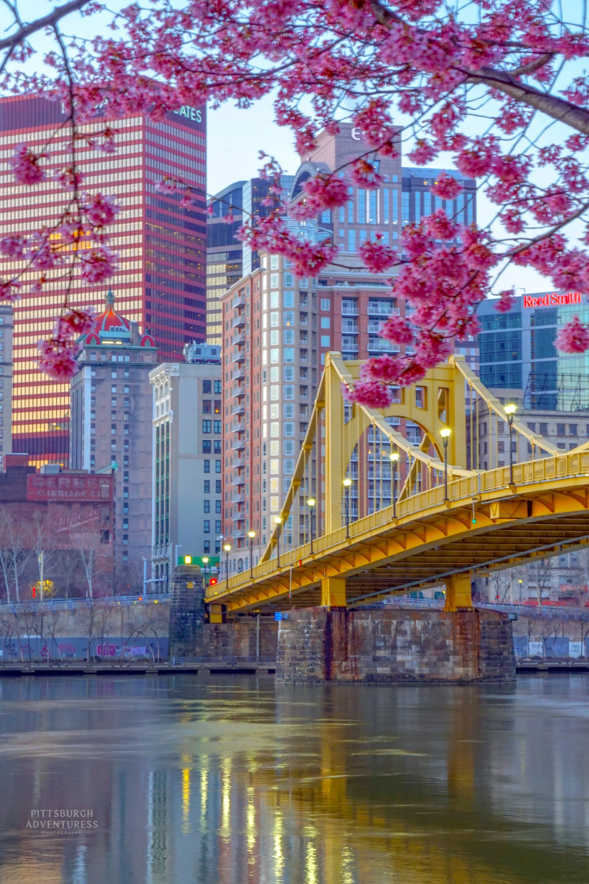 Bridges Of Pittsburgh