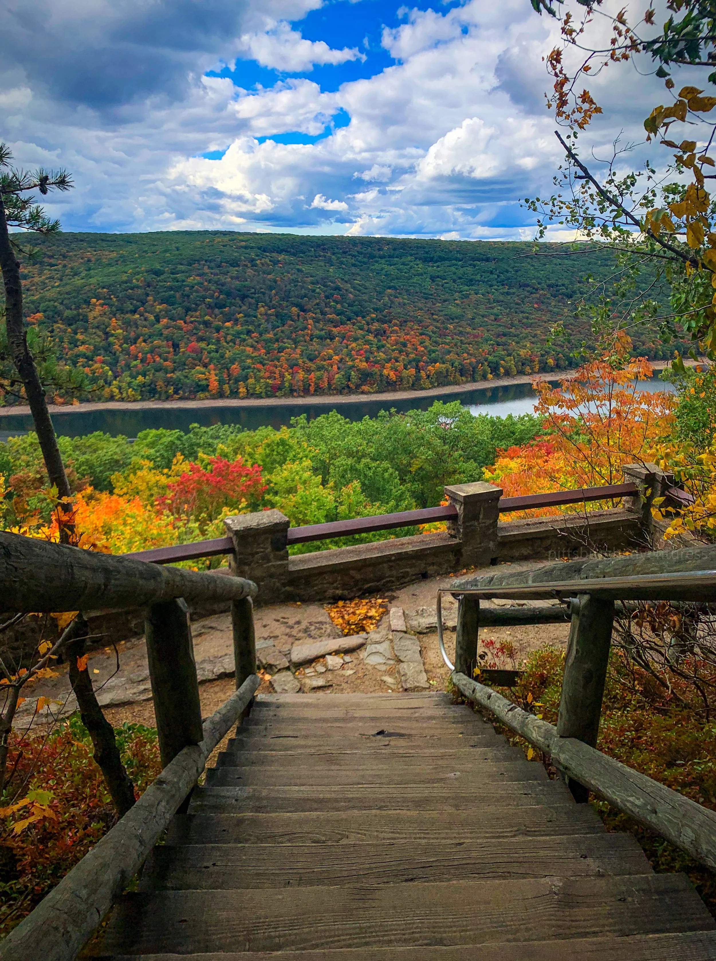 Rimrock Overlook Allegheny National Forest