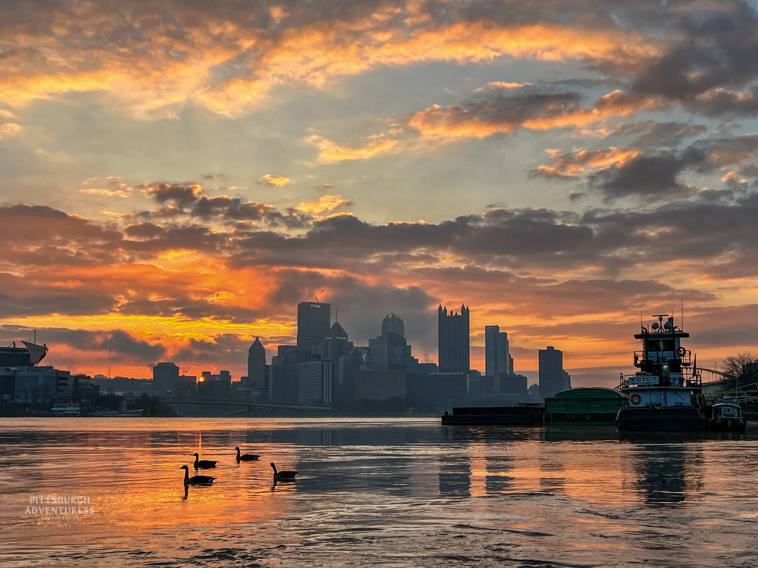 Pittsburgh skyline silhouetted against dramatic sunset clouds over the river. River Barge and Geese 