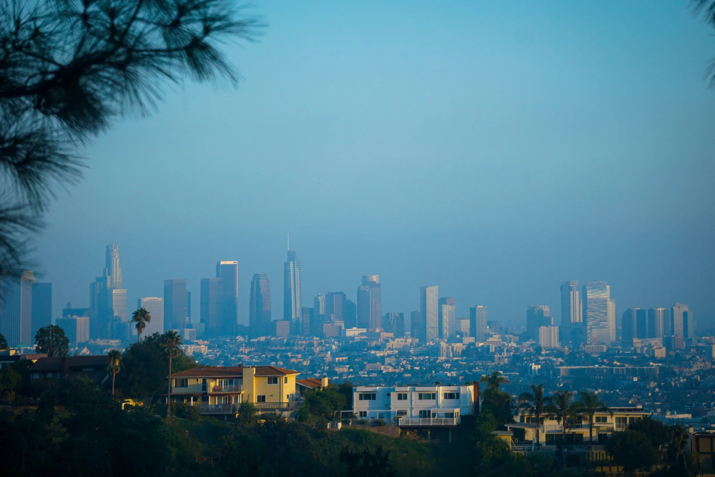 Los Angeles Skyline Griffith Park