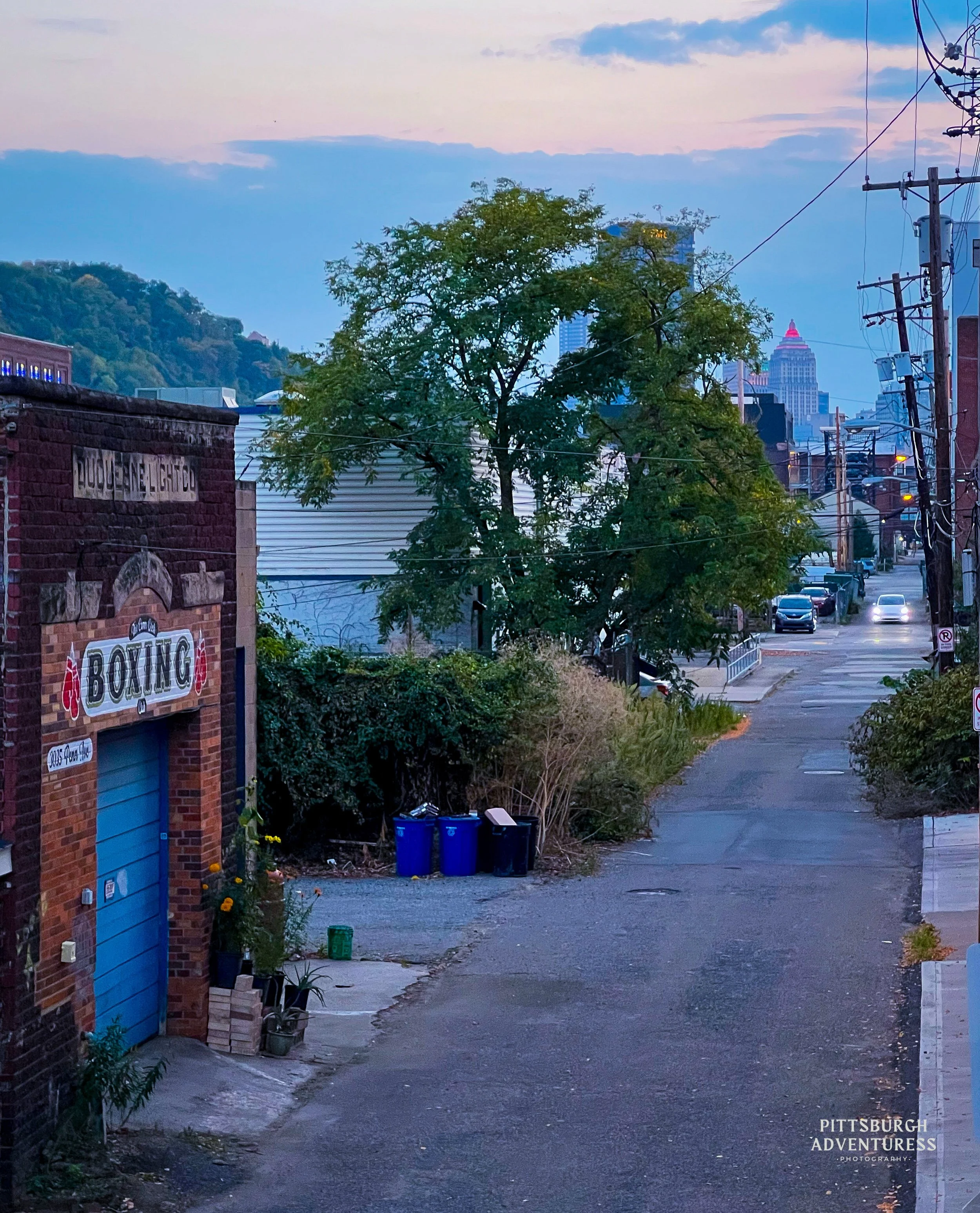Pittsburgh neighborhood street with brick buildings and a tree-lined sidewalk.