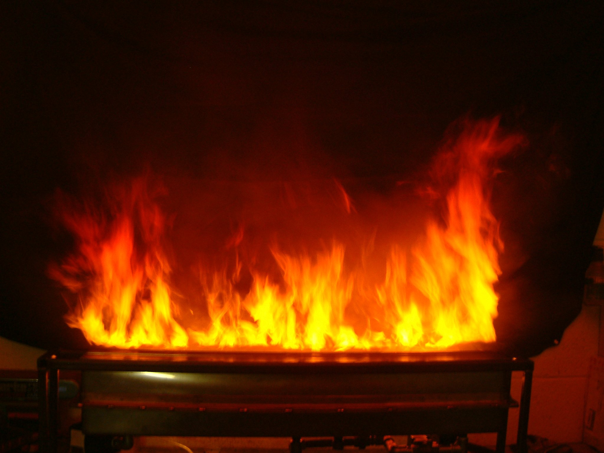 Image-20.jpg