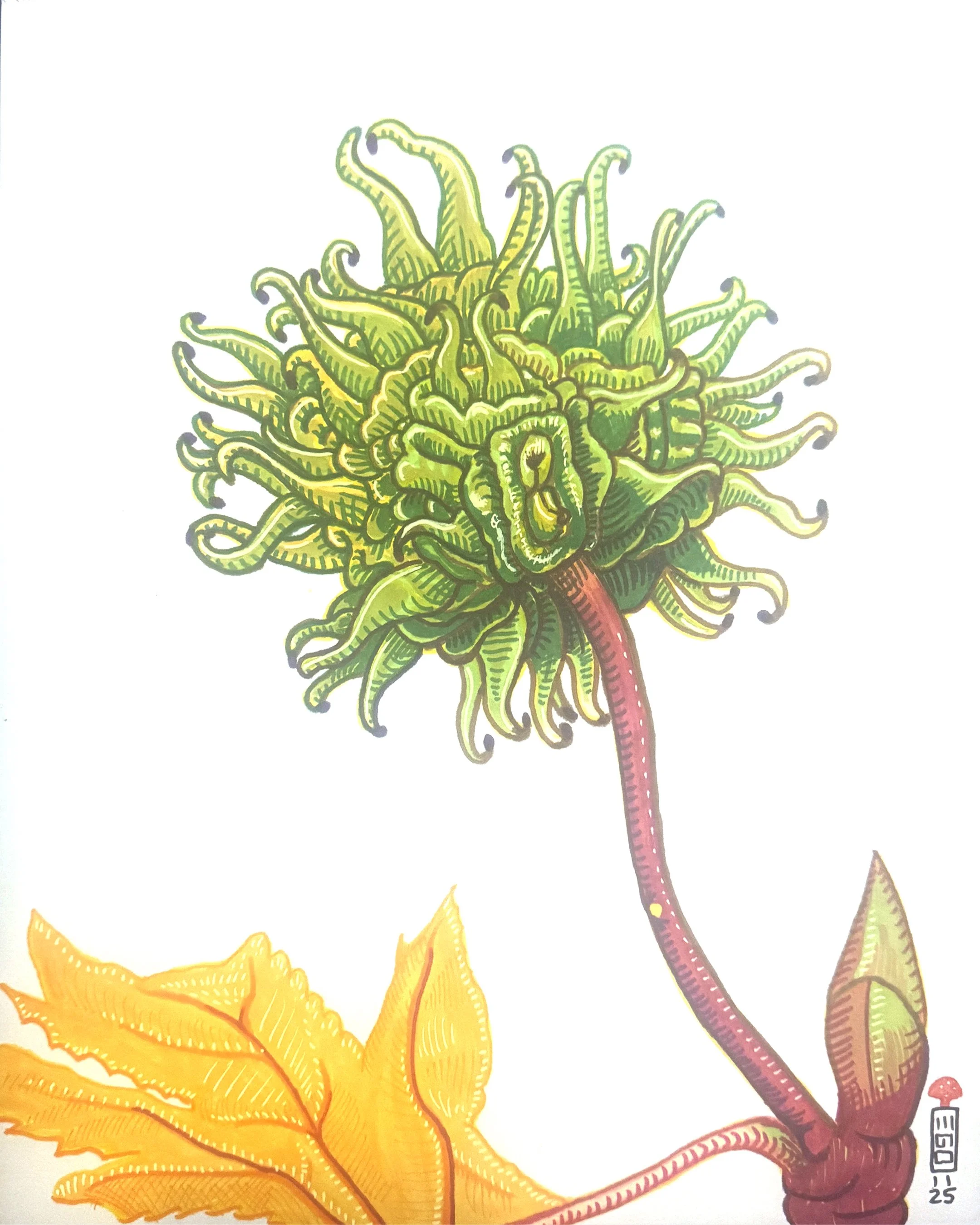 02 SWEETGUM.jpg