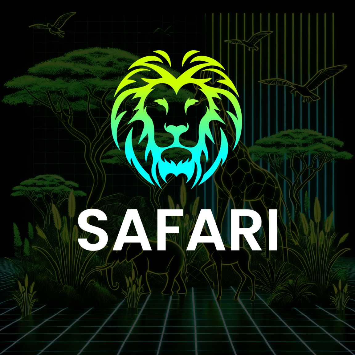 homepage carousel_Safari.png