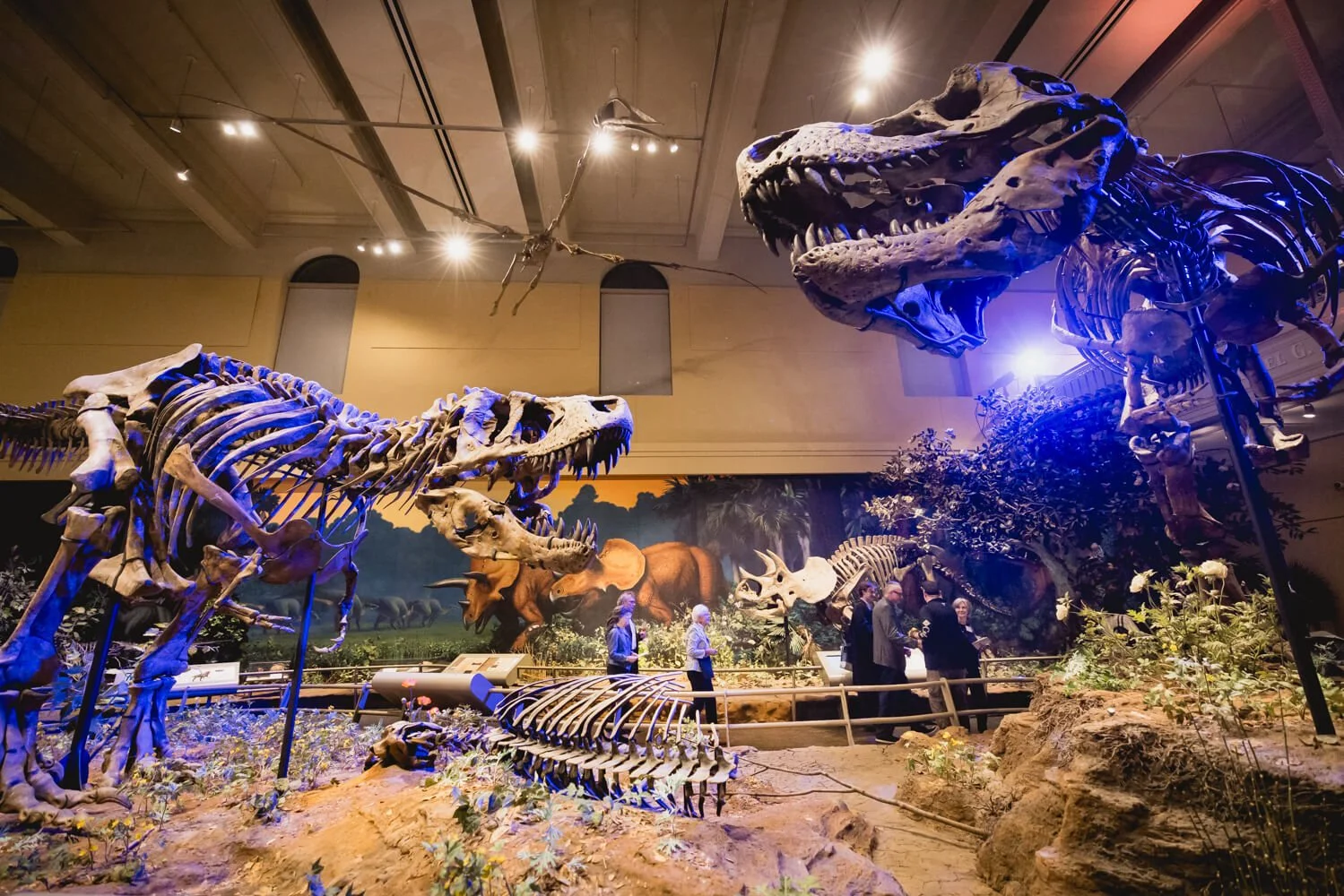 FOUNDER_PATRONS-CARNEGIE_MUSEUM-PITTSBURGH-EVENT_PHOTOGRAPHER-ELISACEVALLOS