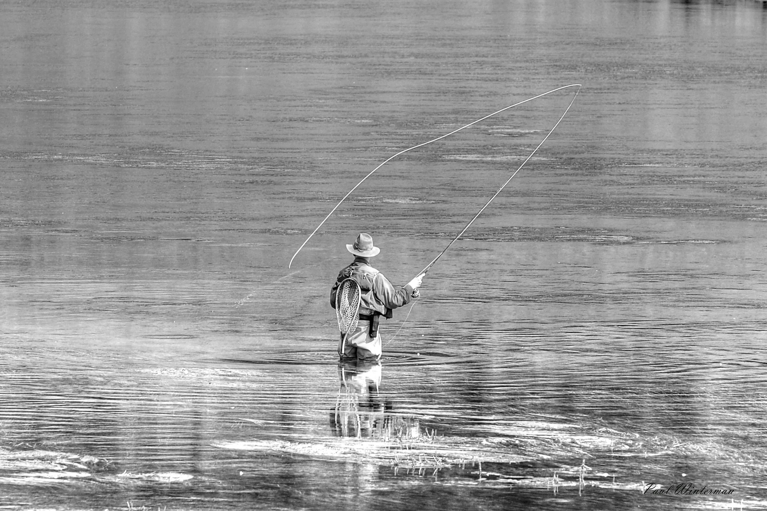 Fishing the Yellowstone