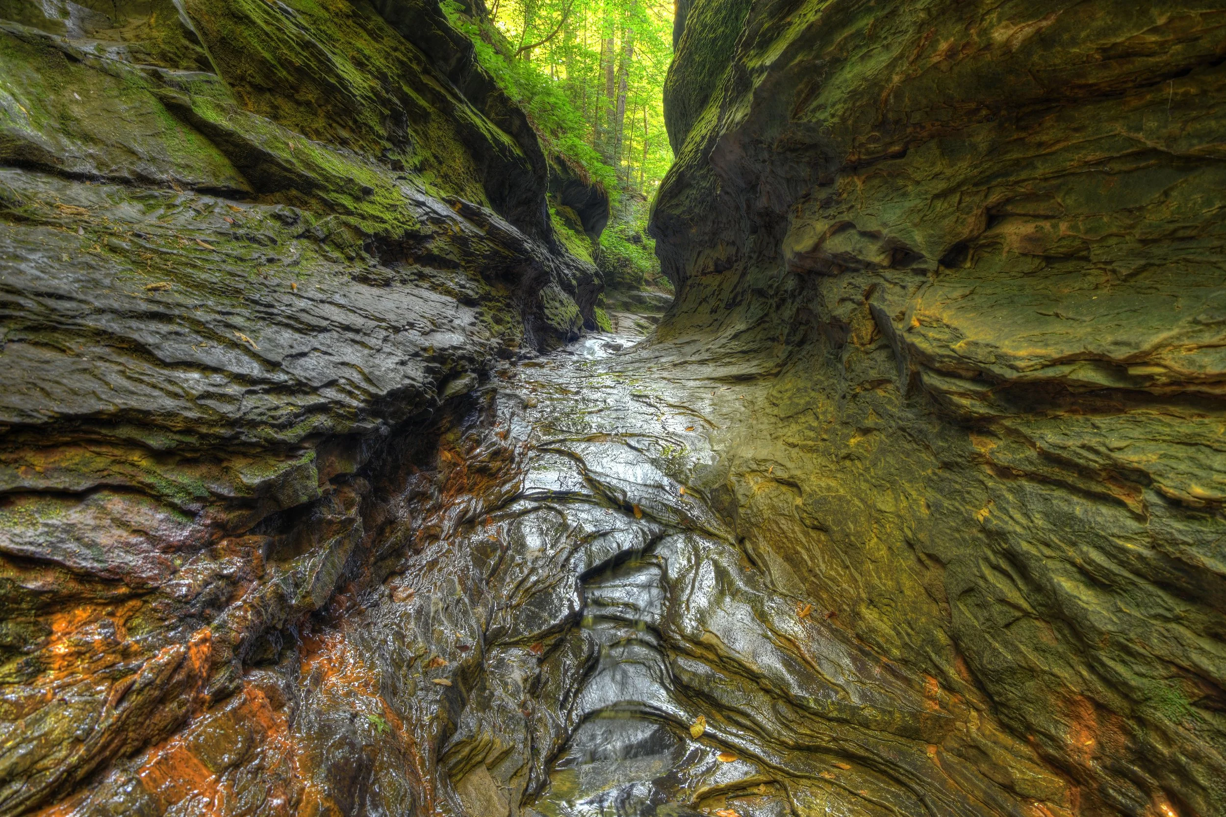 Turkey Run (Indiana)