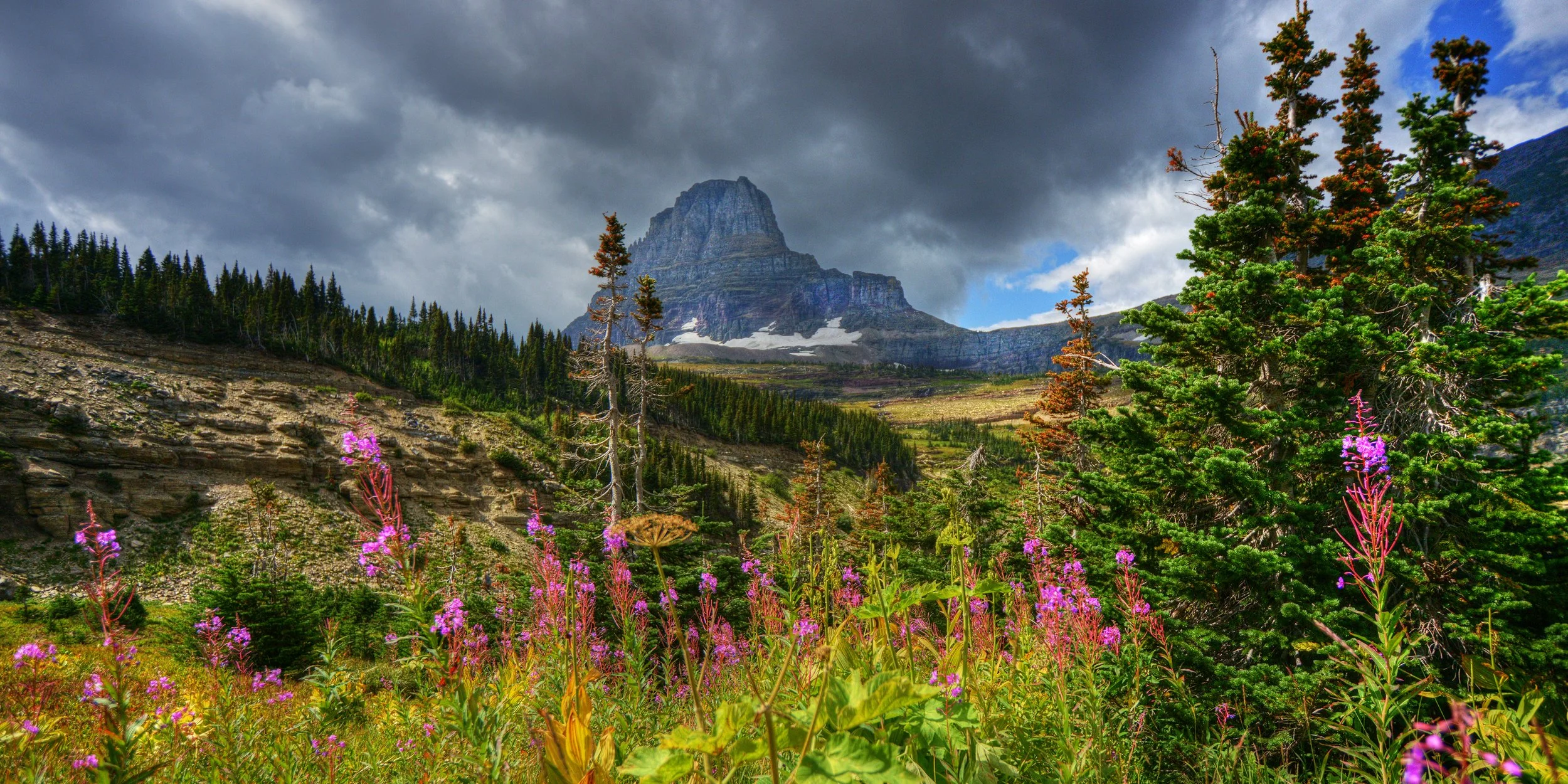 Wildflowers Beneath the Peak (Glacier National Park, Mt)