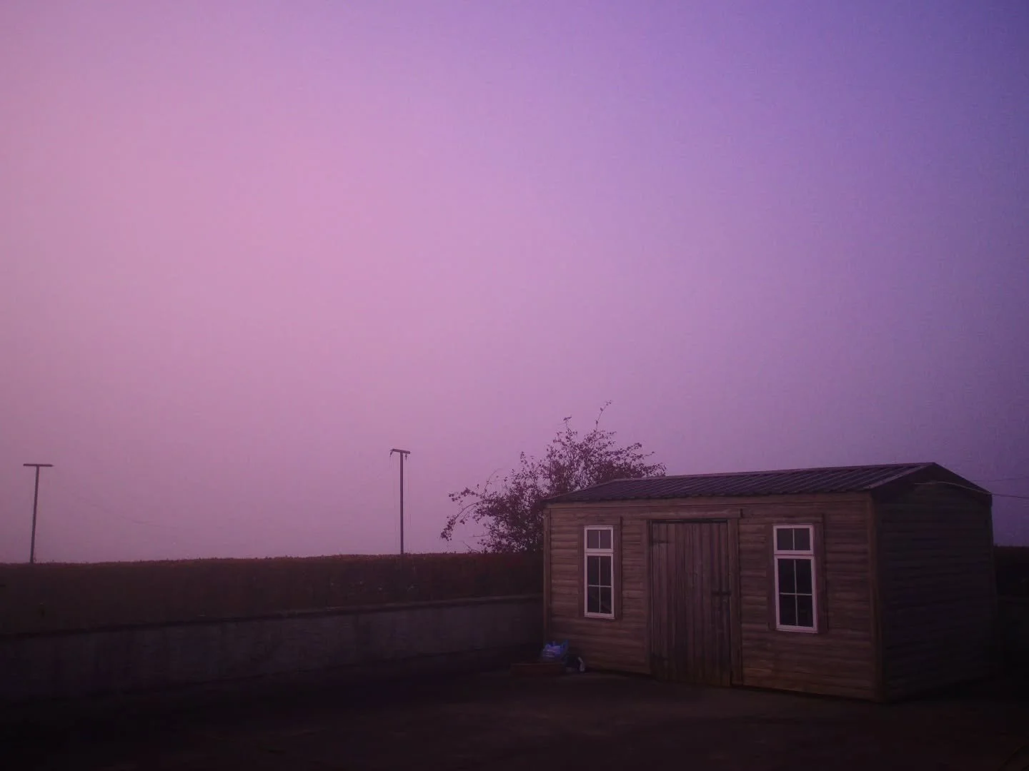 Thickest fog I've ever seen