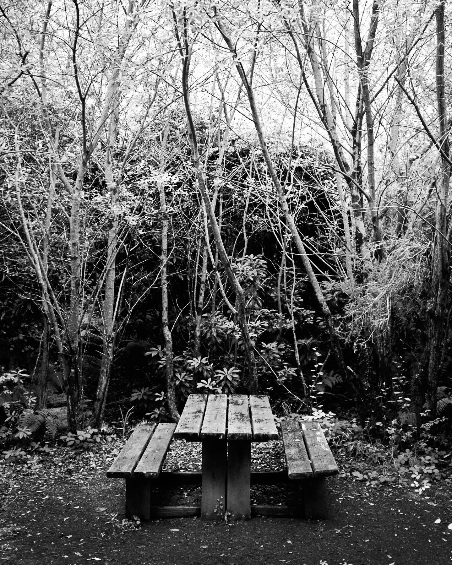 Shots from Cork and surrounding area