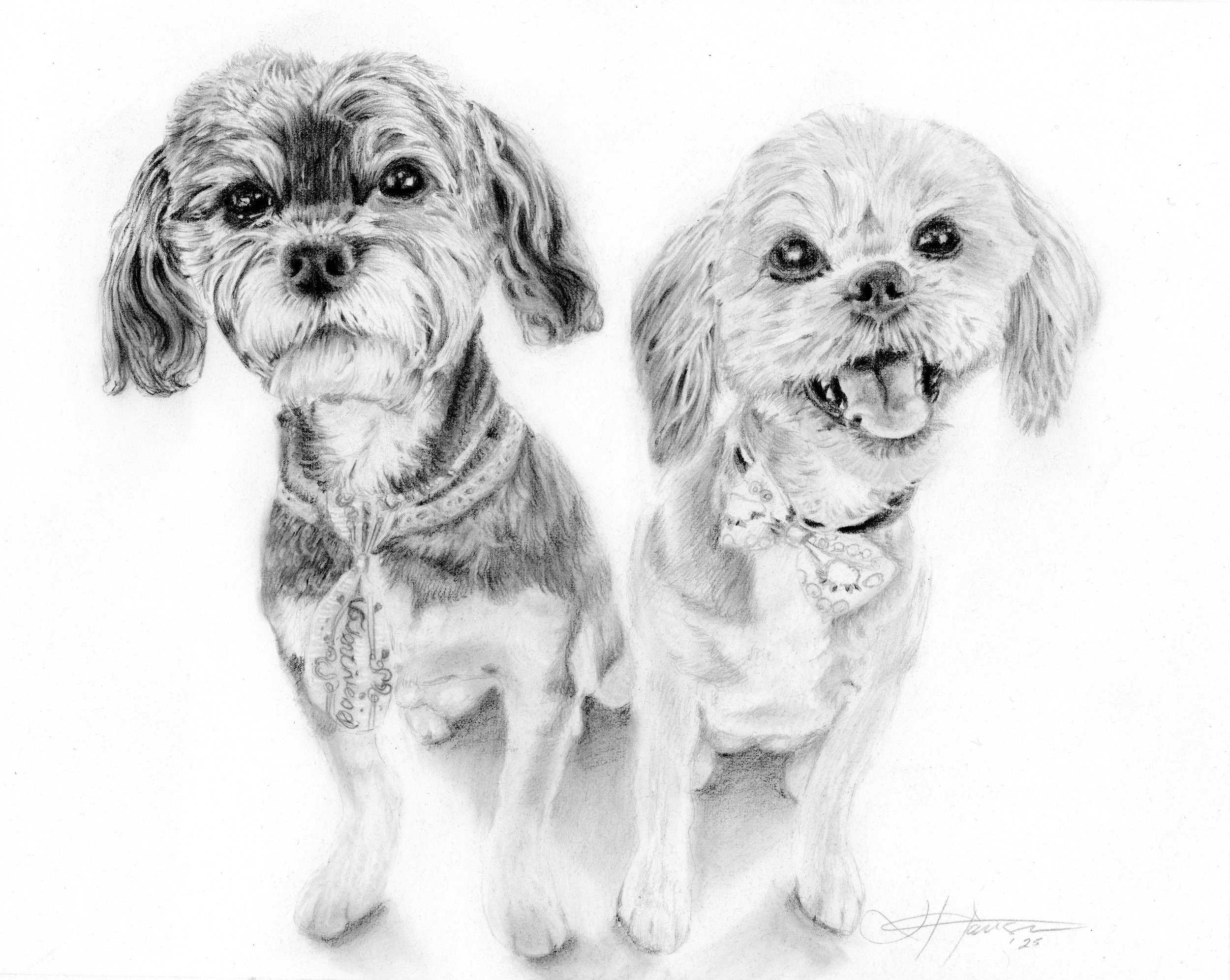 two dogs Lisa $180 8x10 Aug 2025.jpg