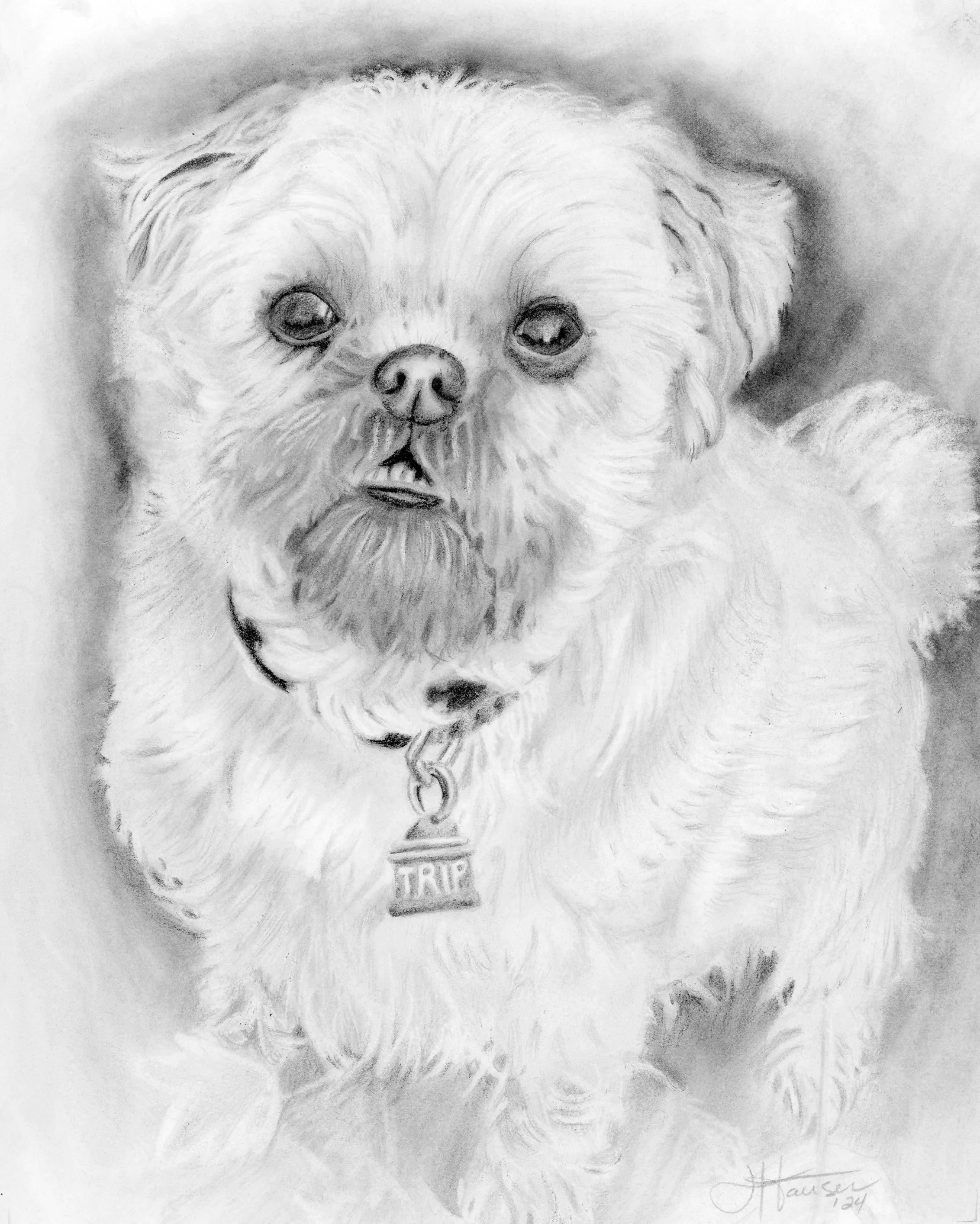 Trip dog Gloria 8x18 dec 20024.jpg