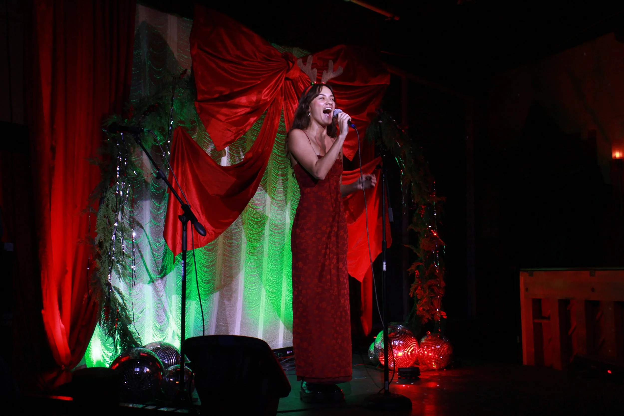 Home for the Holidays (2024)