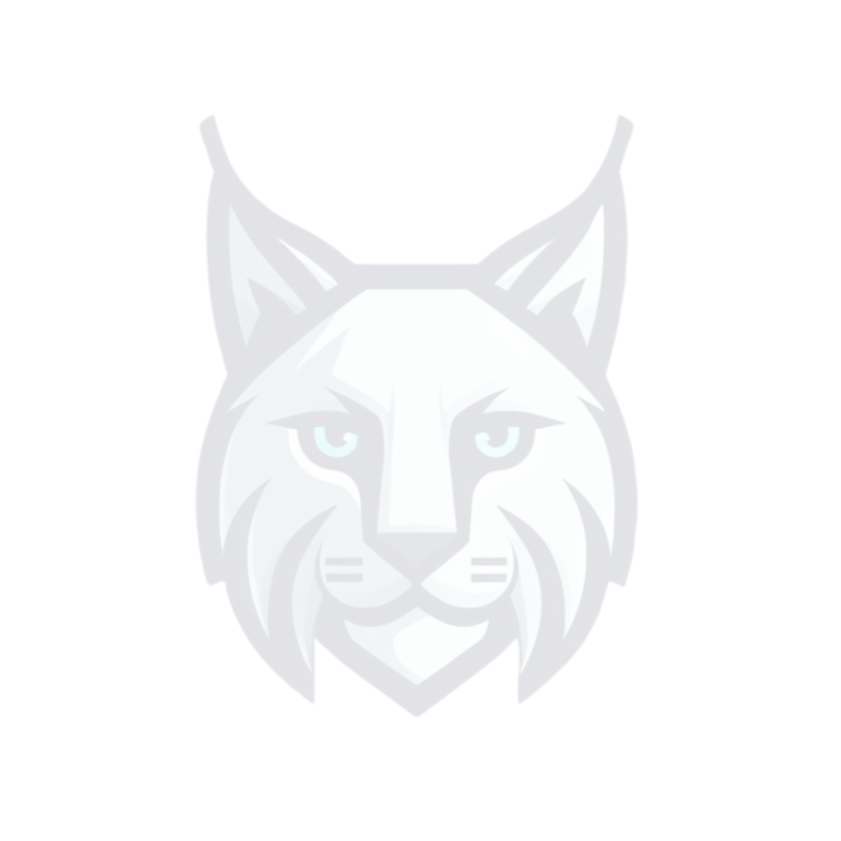 Lynx Business Solutions