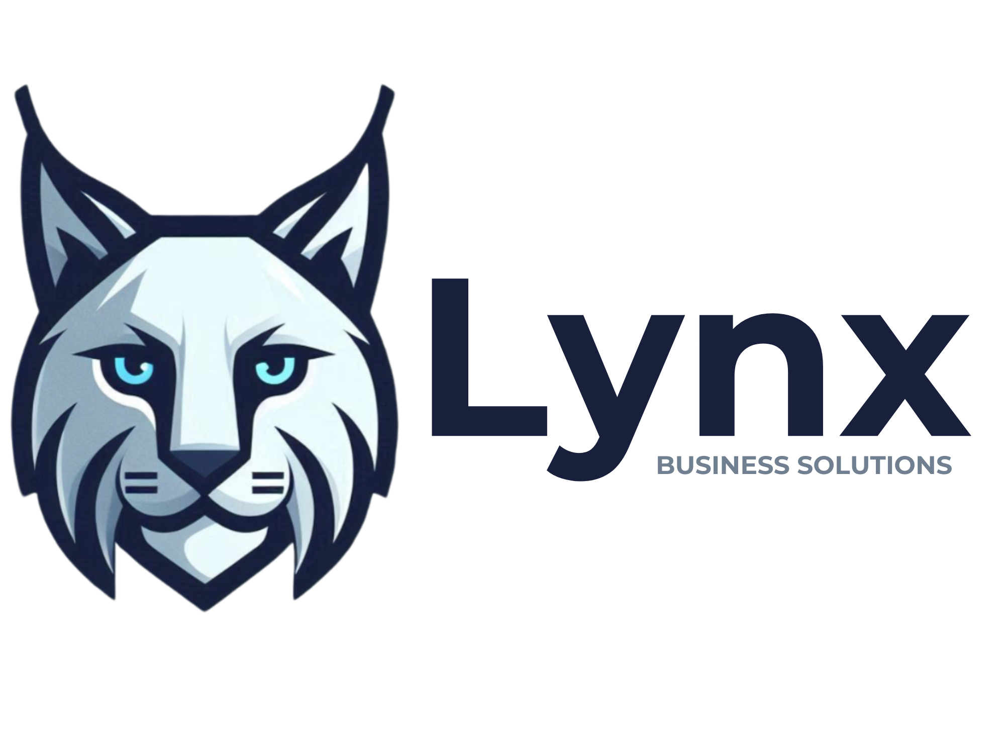 Lynx Business Solutions