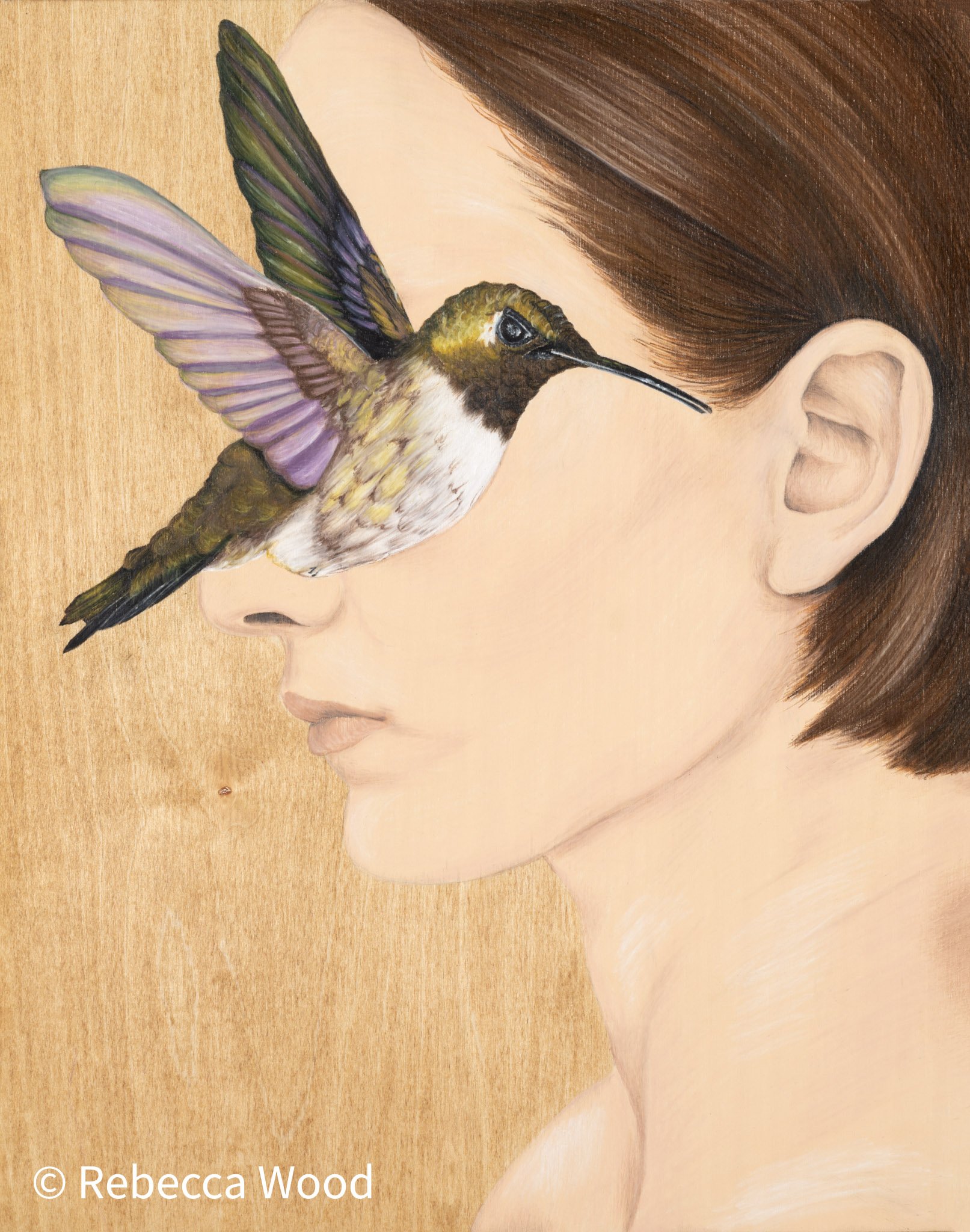 Hummingbird WM.jpg