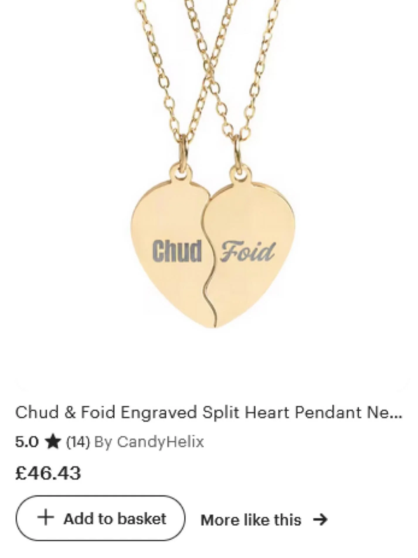 DO NOT ALLOW THESE TWO HALVES TO CONNECT THE INTERNET IS NOT READY