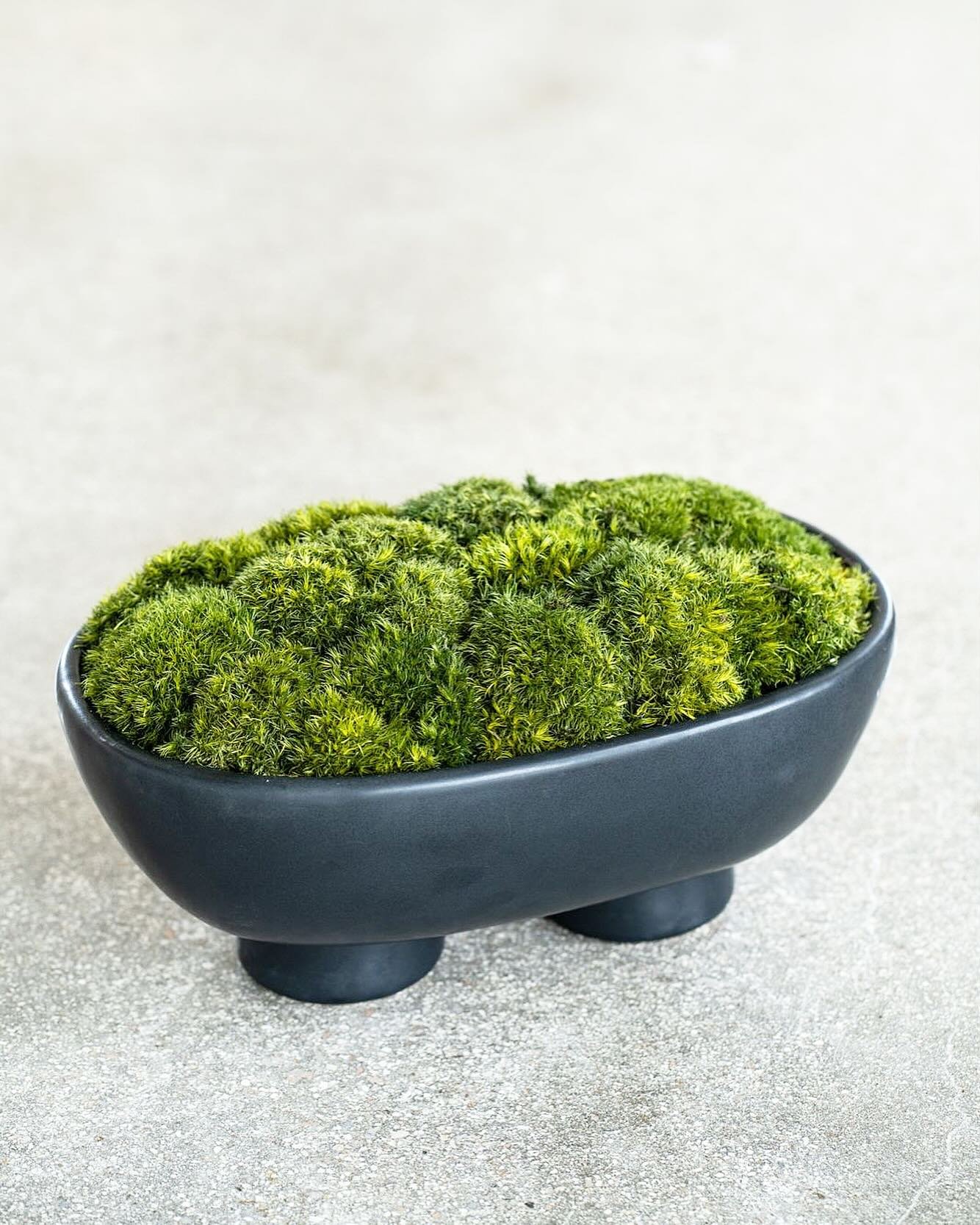 🌱 Moss Planter on a Black Base with Legs

Minimalism and natural life in a single object. This ceramic pot with live moss brings serenity and freshness to any space. Its small, legged base elevates its presence and makes it a modern accent.

Ideal f