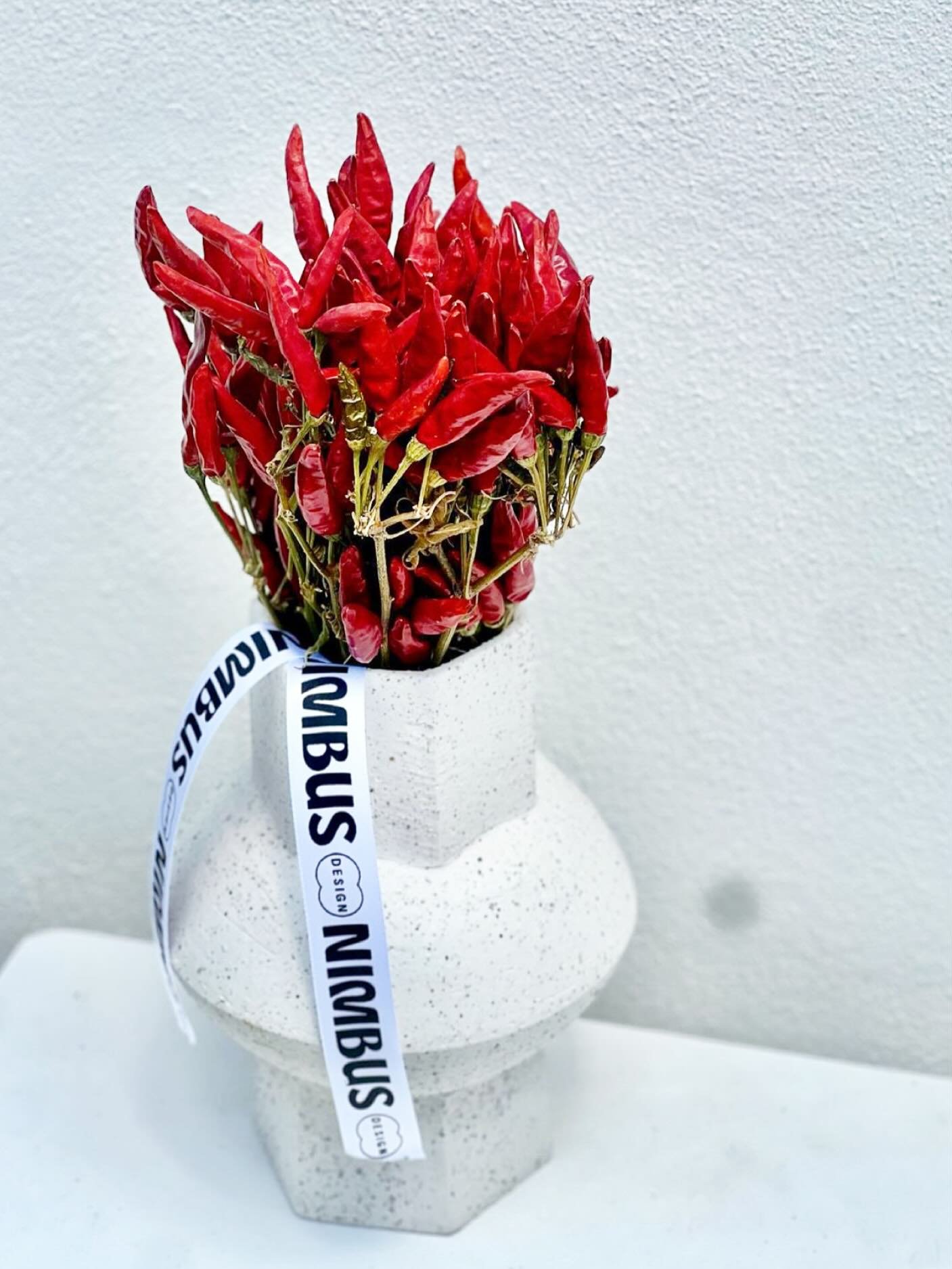 🌶️ White Vase with Dried Chili Peppers

Looking for a decorative piece that can stand alone?
This geometrically shaped vase is more than a vase: it&rsquo;s a functional sculpture. Here, we used dried chili peppers for a rustic and vibrant touch, but