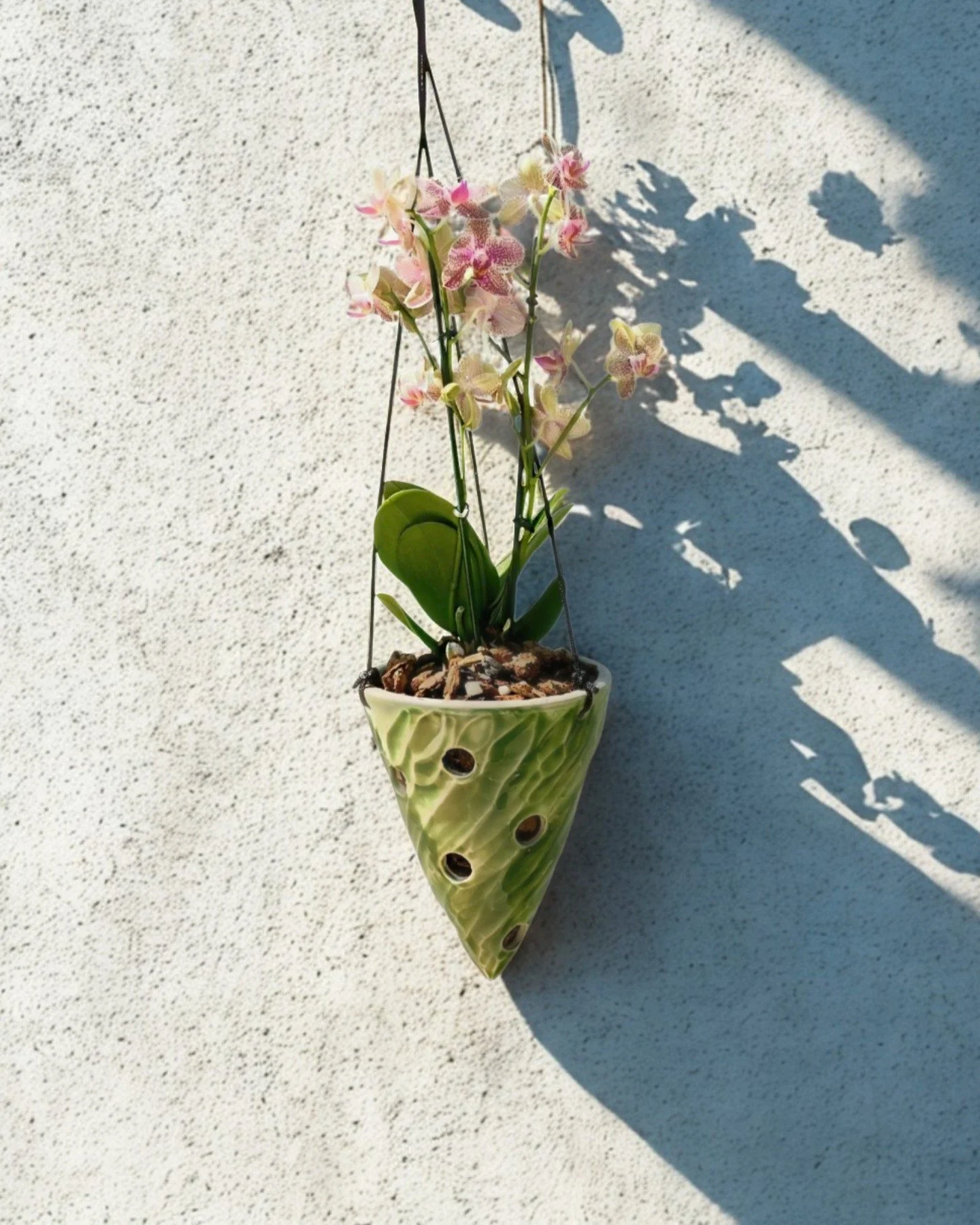 Hanging pots

Bring your walls to life with a natural and functional touch! 🌿🌸 This hanging planter not only decorates, but also improves ventilation and drainage thanks to its perforated design. It promotes healthy plant growth, saves space by eas