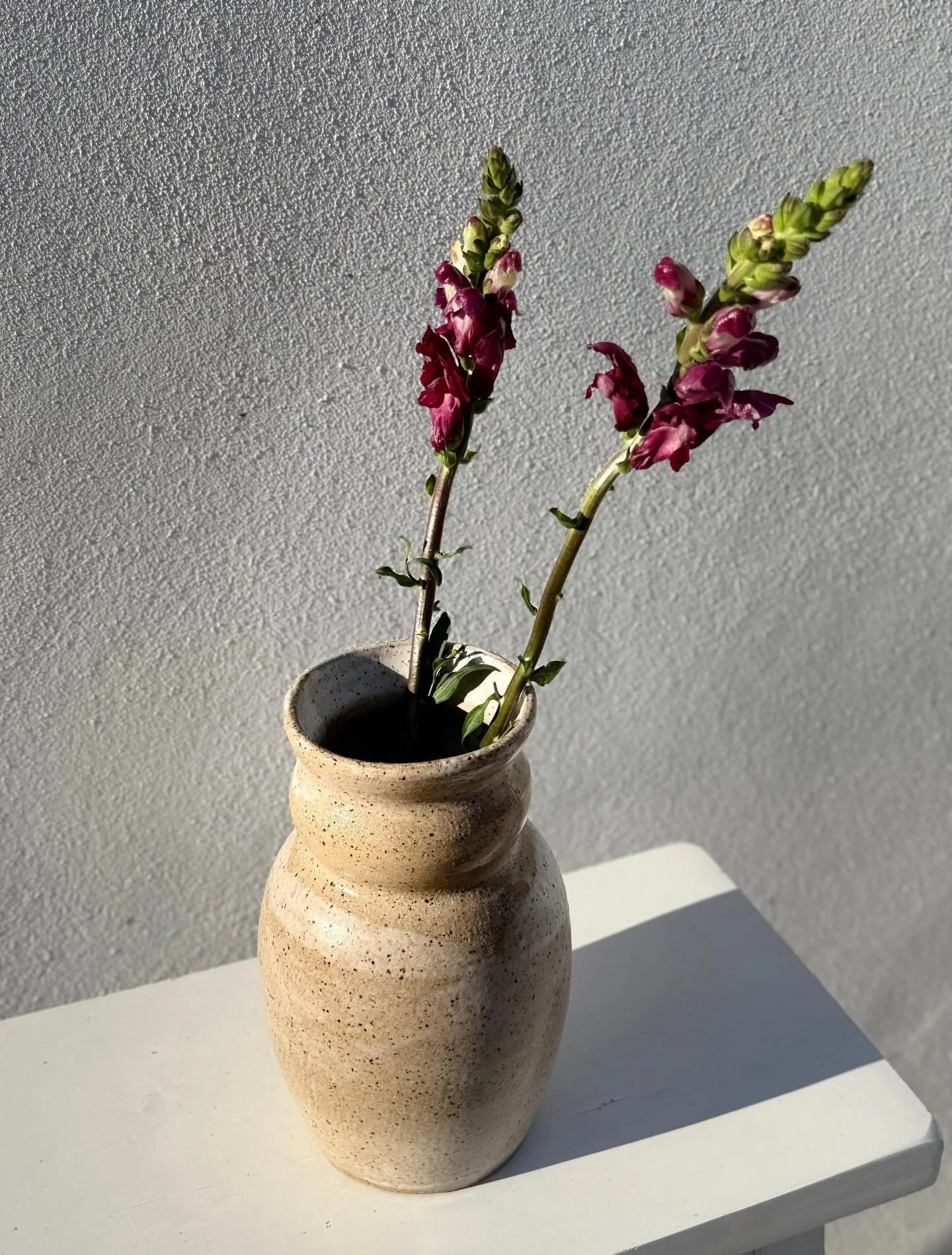 There are pieces that effortlessly transform a space ✨ This ceramic vase, with its organic texture and neutral tones, turns the simple into a special moment.

A couple of flowers, natural light&hellip; and that corner starts to feel different. More y