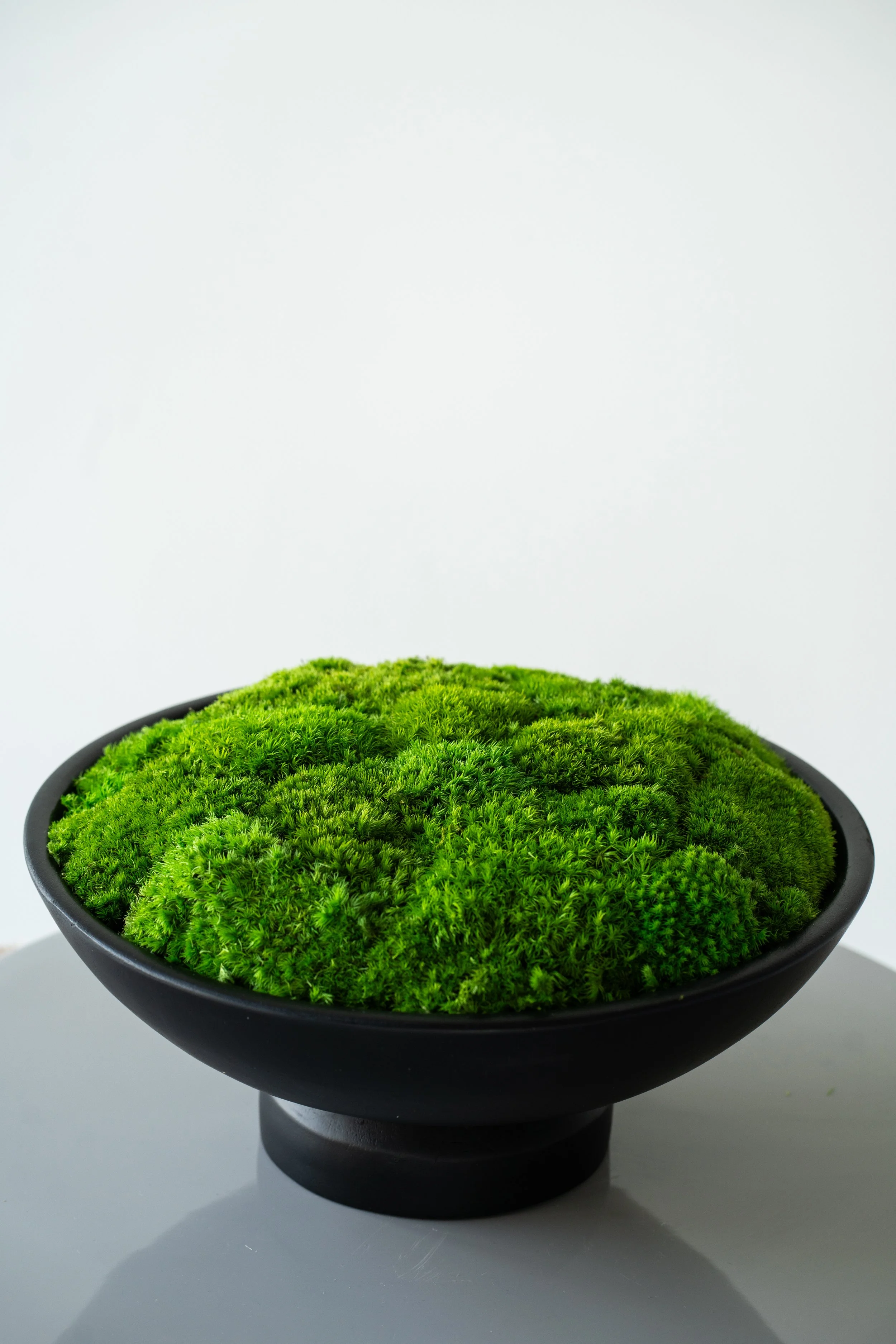 Marcela Brand: Bringing Nature to Life Through the Art of Moss