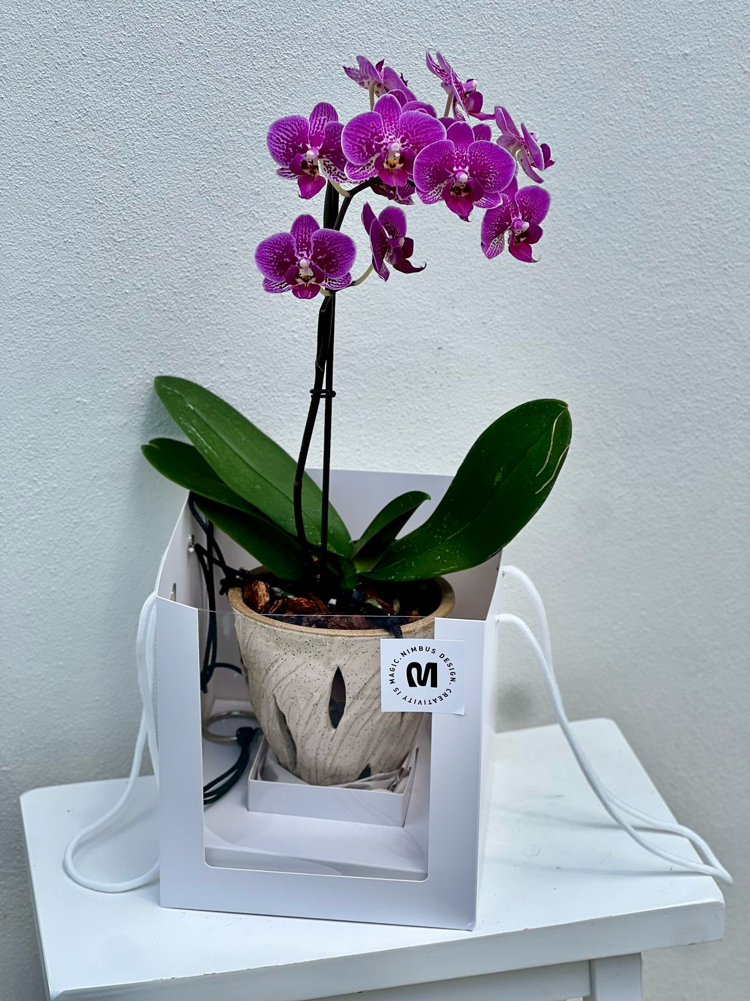 Hanging pot with violet orchid