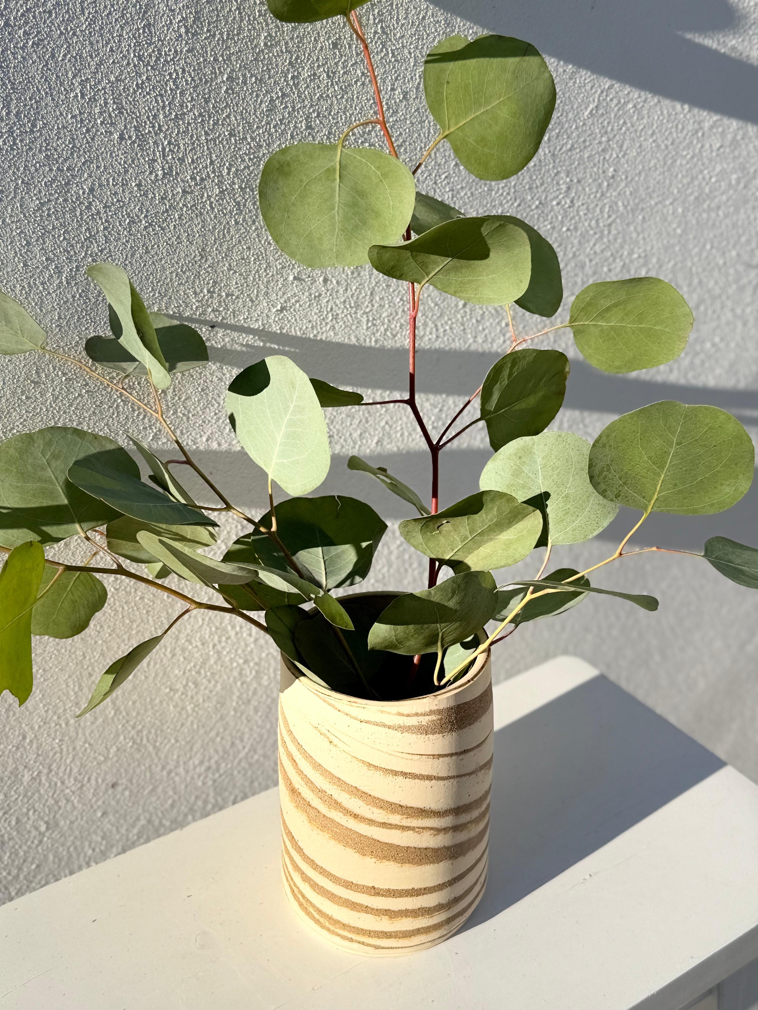 WhatsApp Image 2026-03-24 at 15.56.25 (1).jpeg