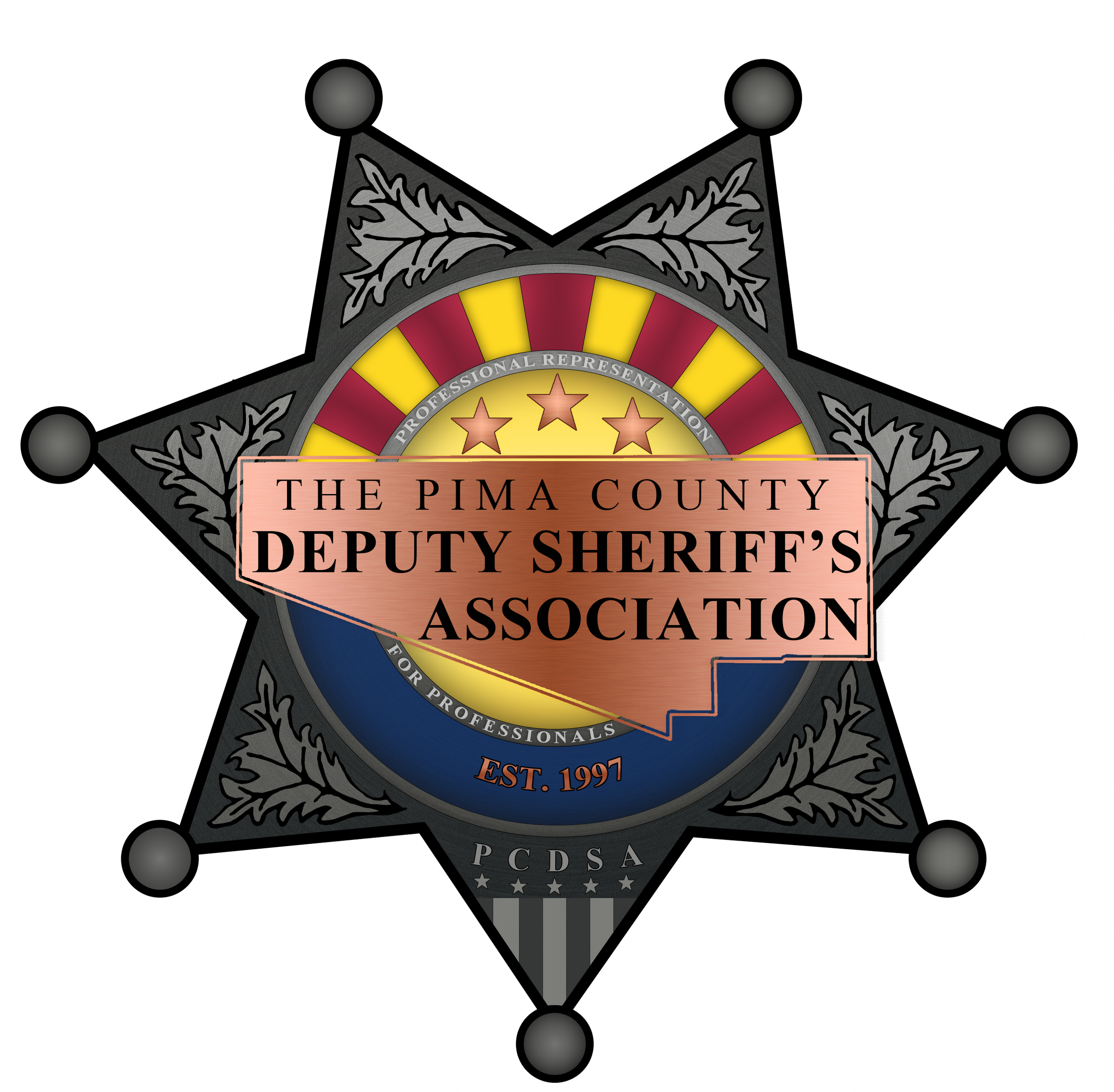 PCDSA logo.png