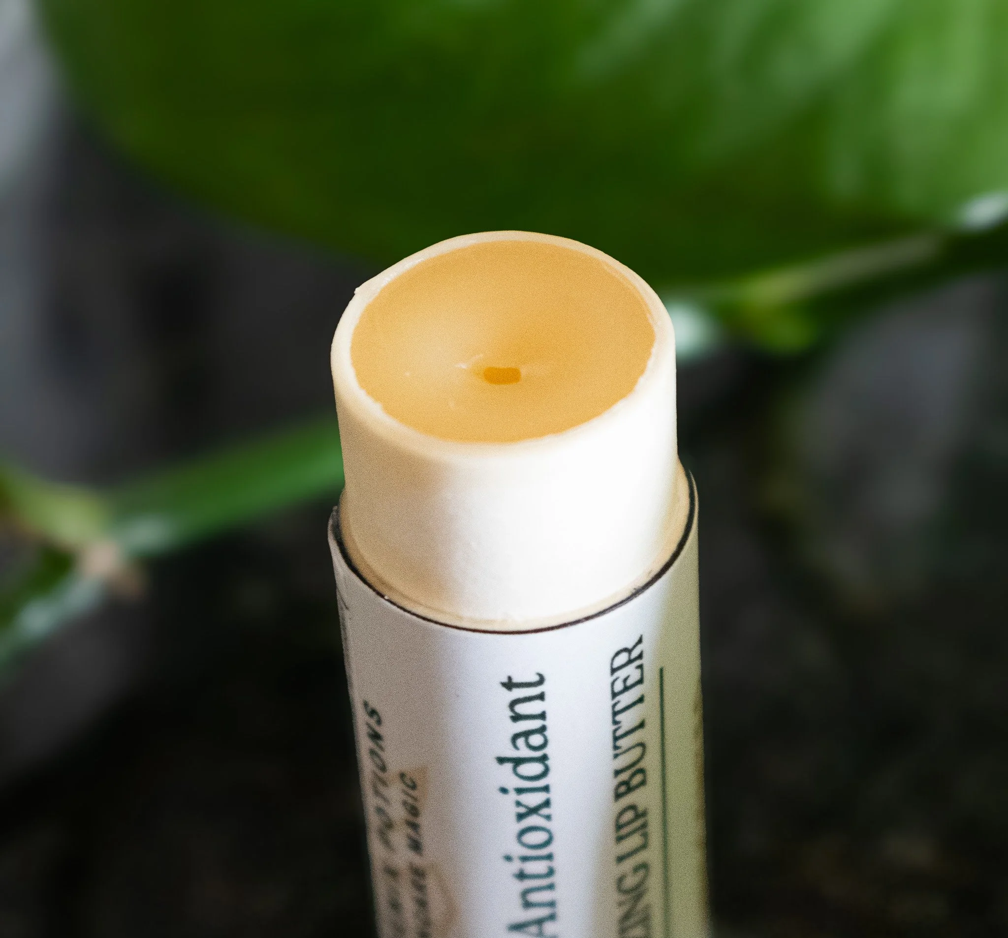 Lipbutter-2.jpg