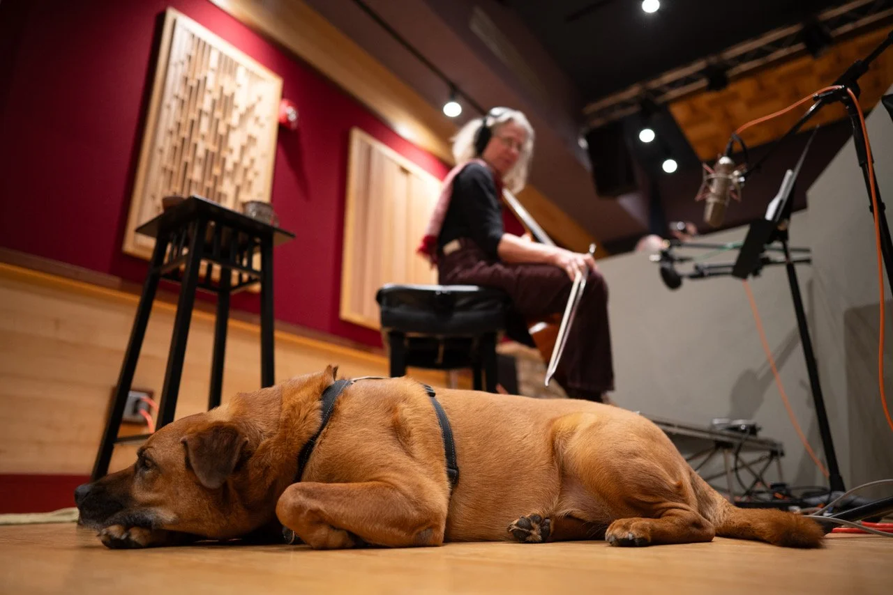 Thumper resting in the studio.jpeg