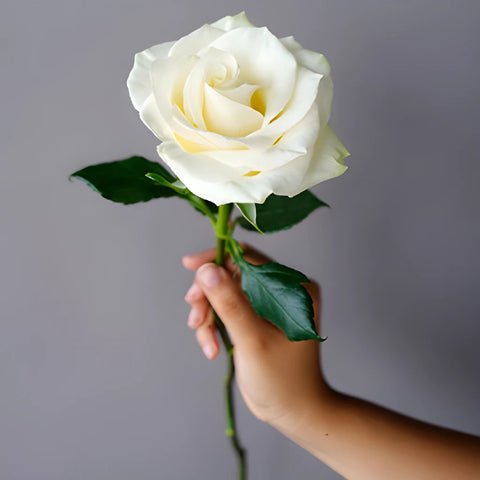 Coastal-Vibes-Mondial-Rose-Stem-in-Hand-350_e9f6abdb_9e968425-fd62-4106-b0c6-2c42b8955893.jpg