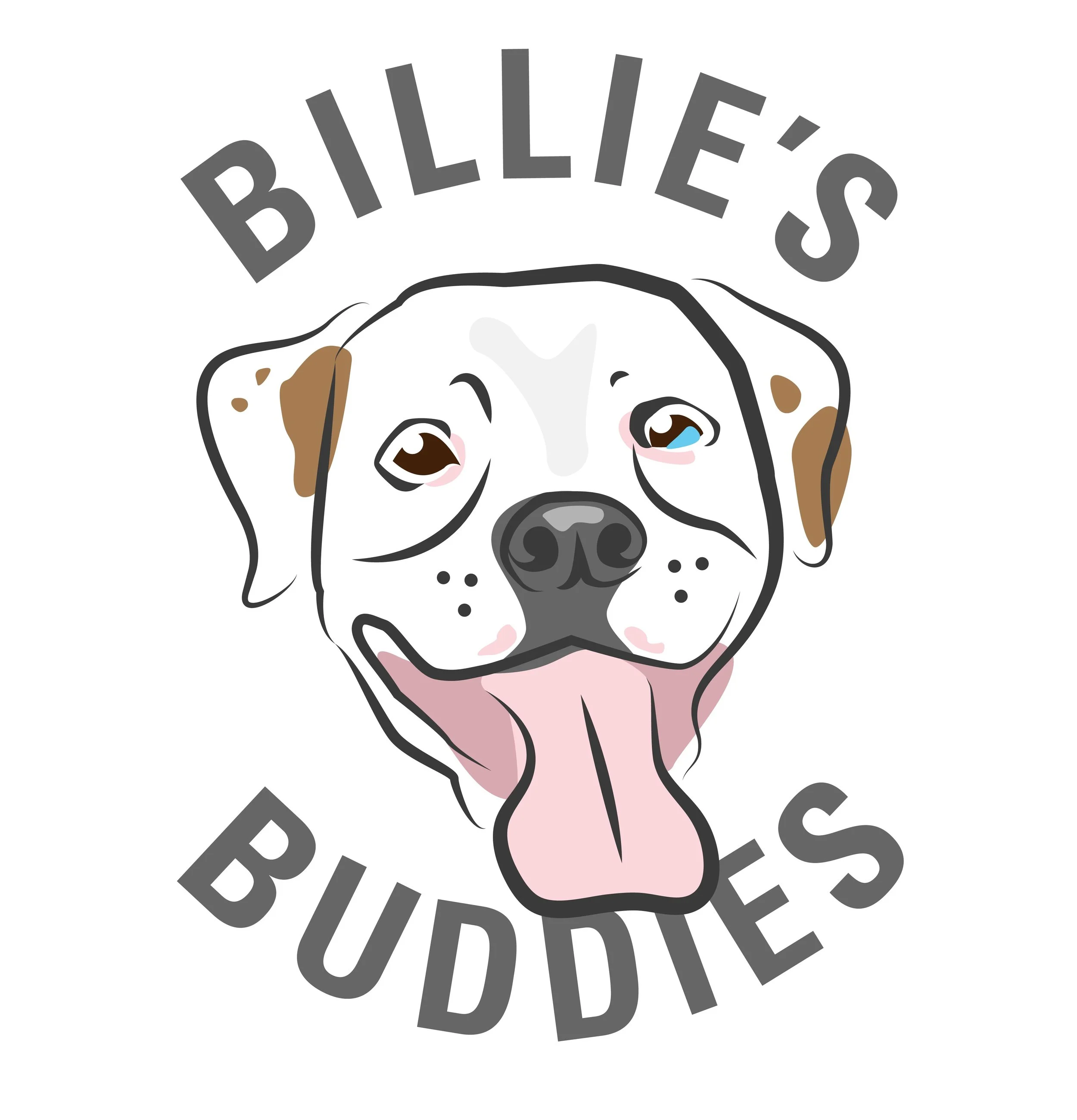 Billie’s Buddies Donation